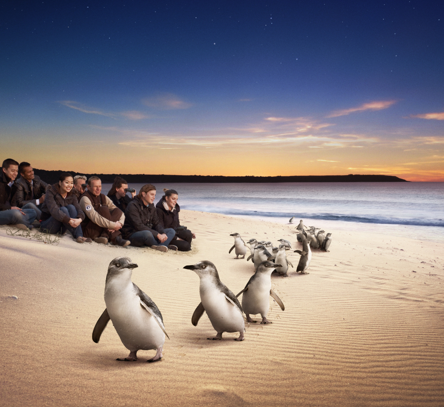 Attractions Phillip Island