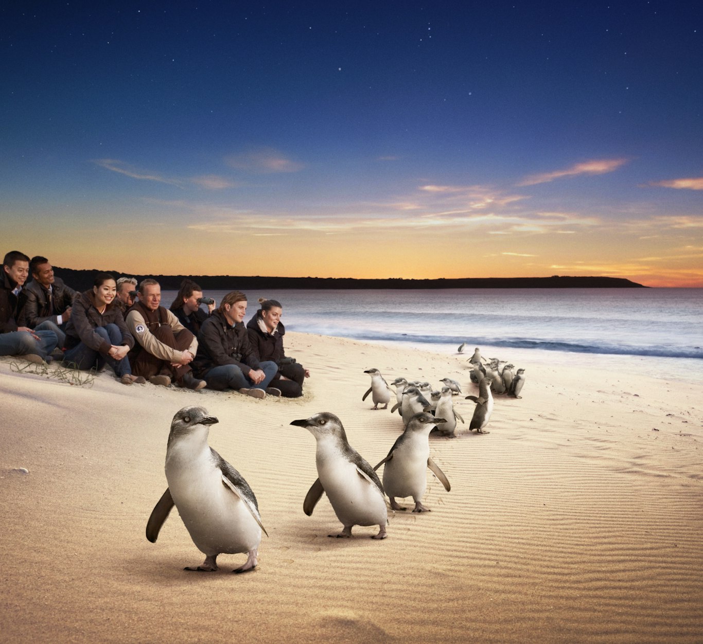 Attractions Phillip Island attractions-phillip-island