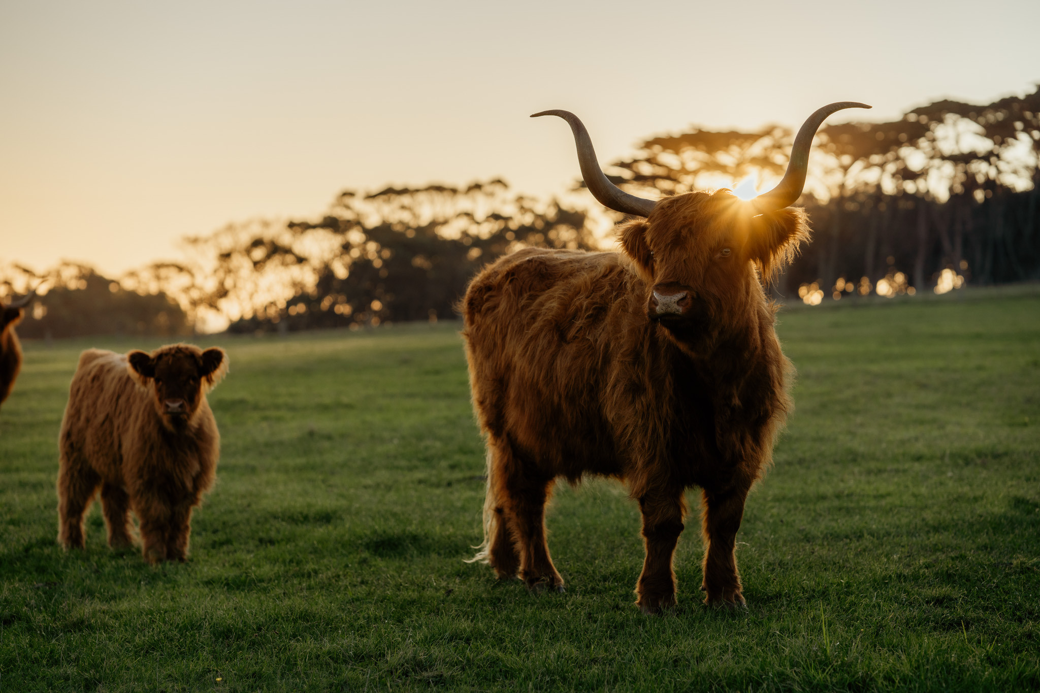 23 05 22 VIC PI A7 III CHURCHILL ISLAND LR 38