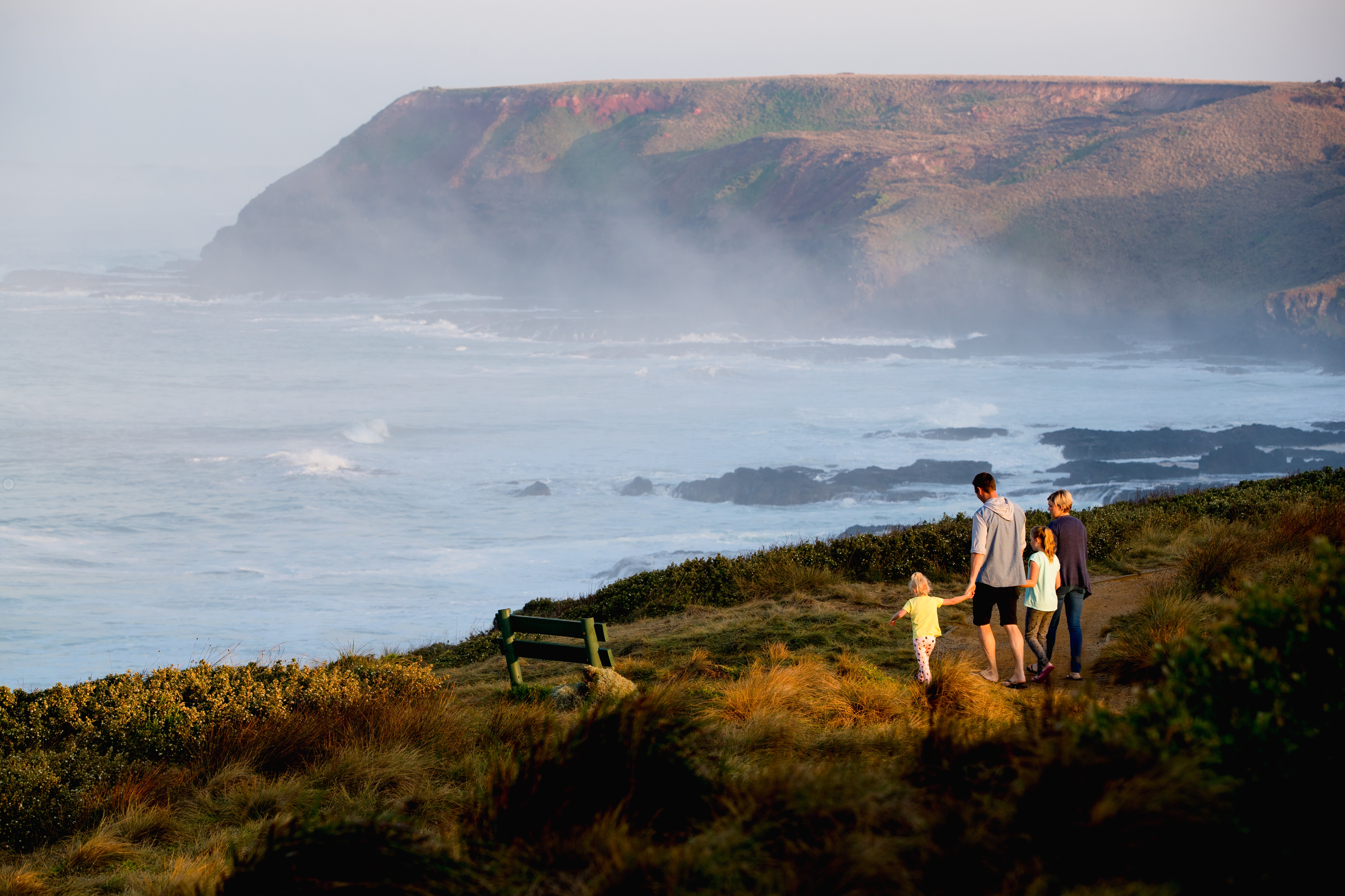 IP162 201704170419 1 DX 9028