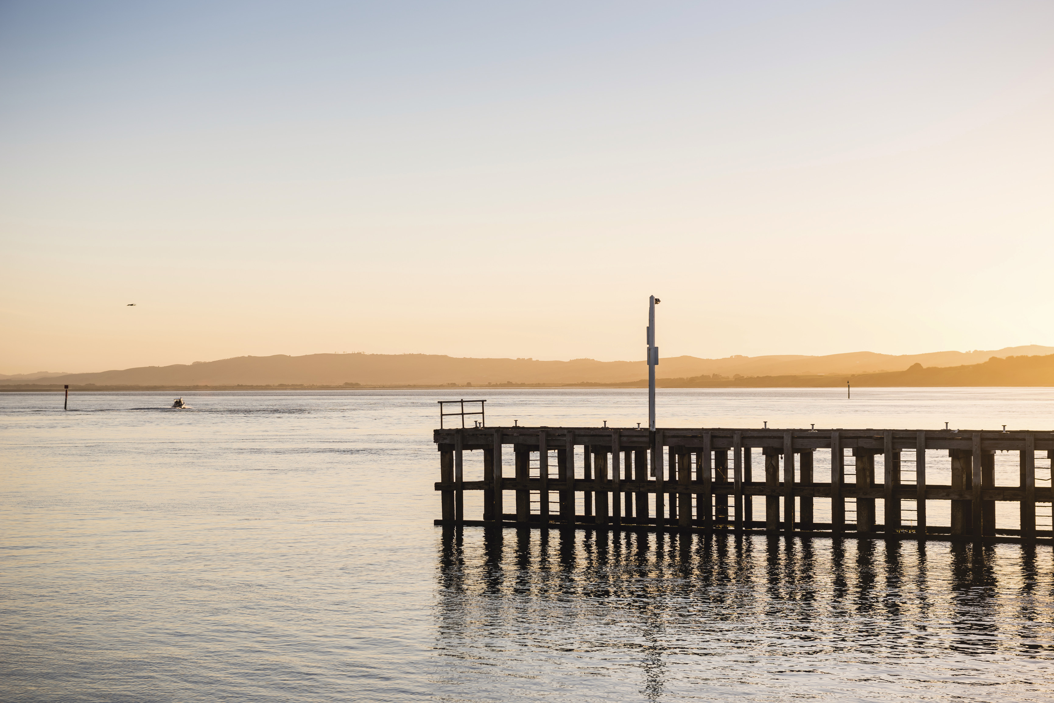 Discover Phillip Island