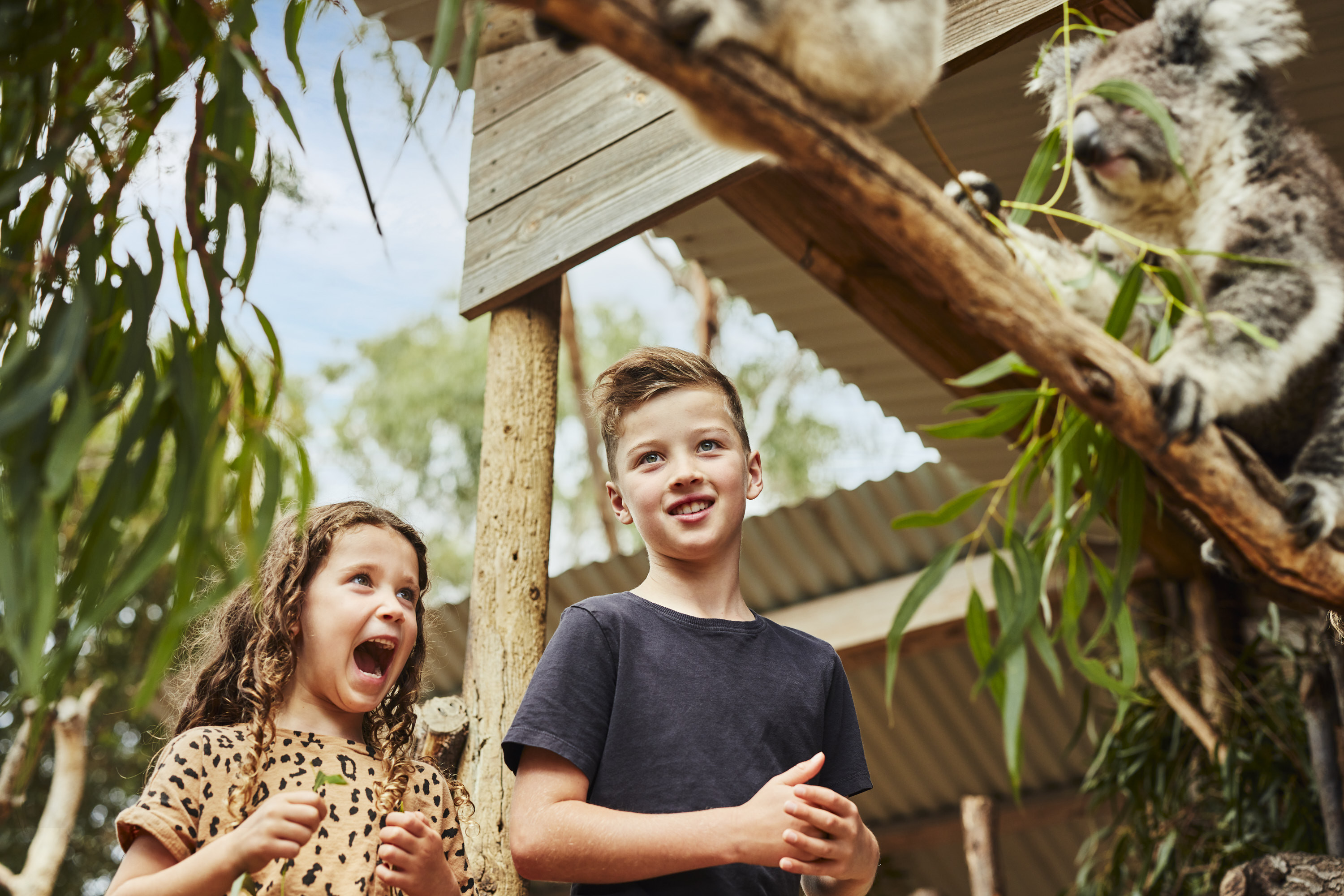 PI2201 AUTUMN D2 019