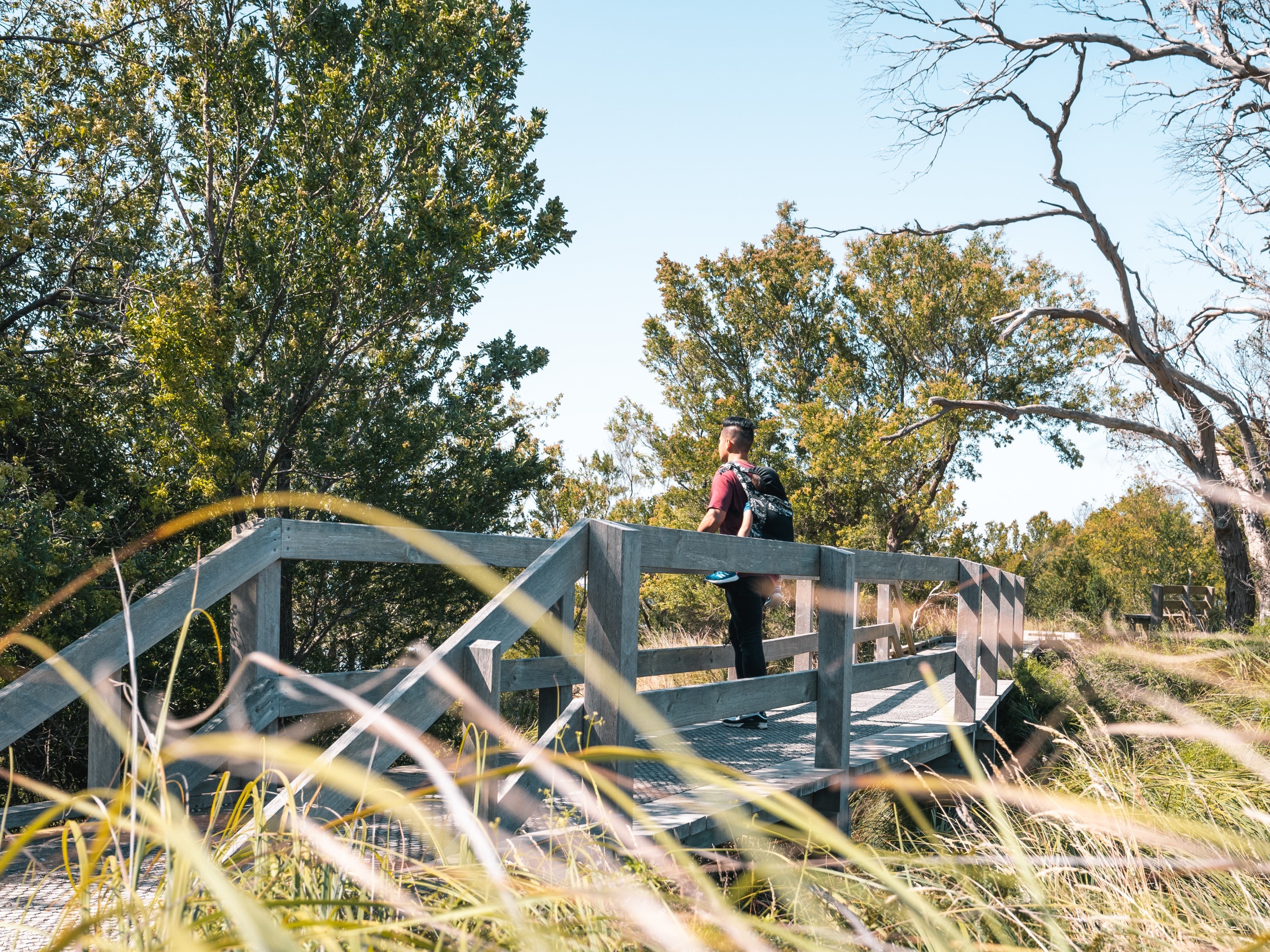 Phillip Island Nature Coastal accessible walk