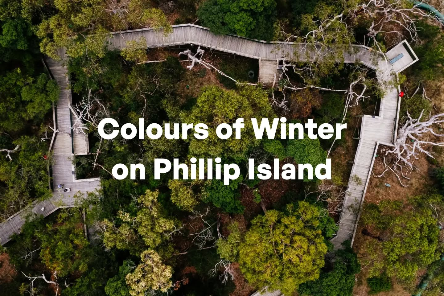 phillipisland