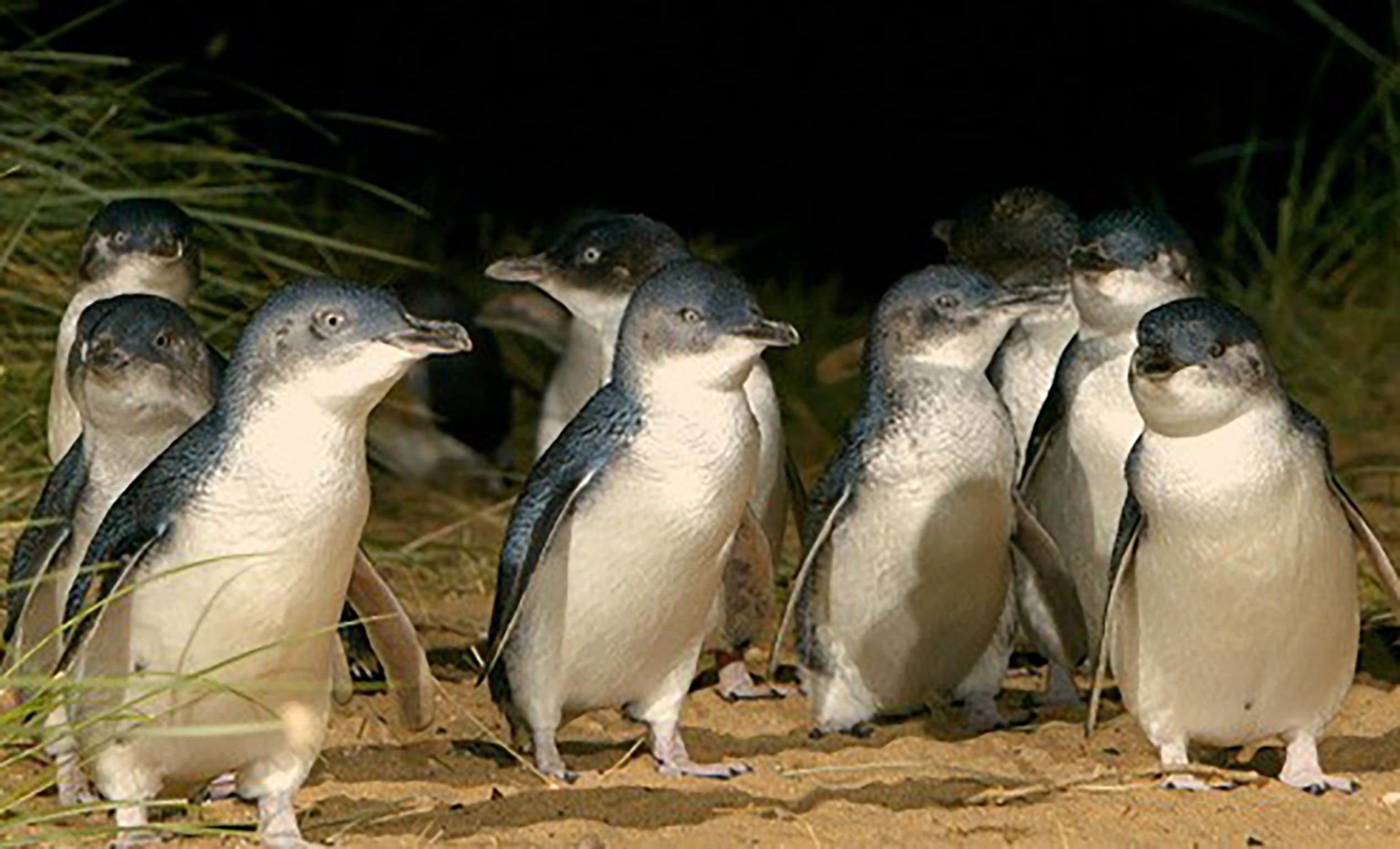 089118B5Df68565E7B1F13D2C97A07C9