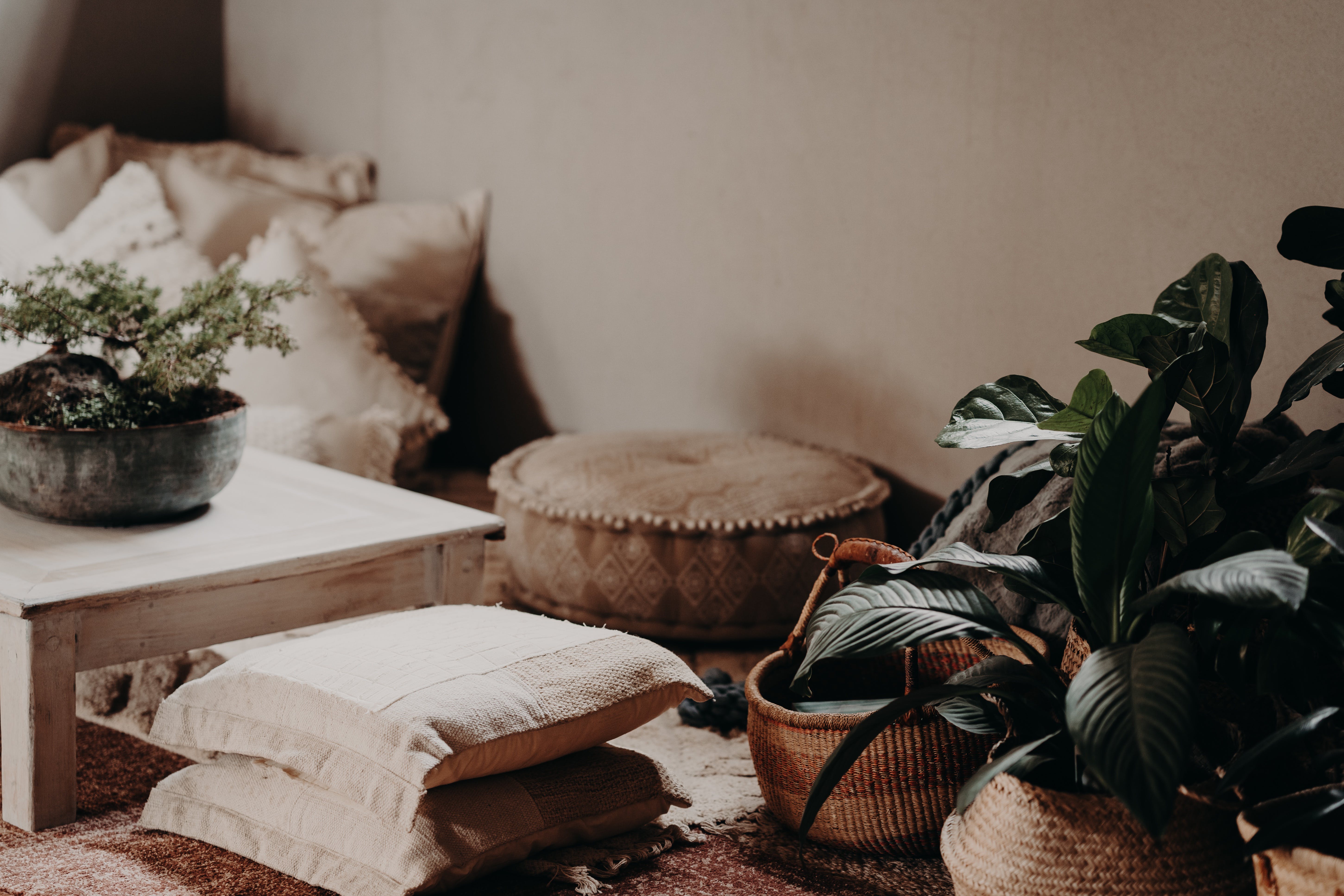 099689B30C3F35A9765F4E1664F449Ab