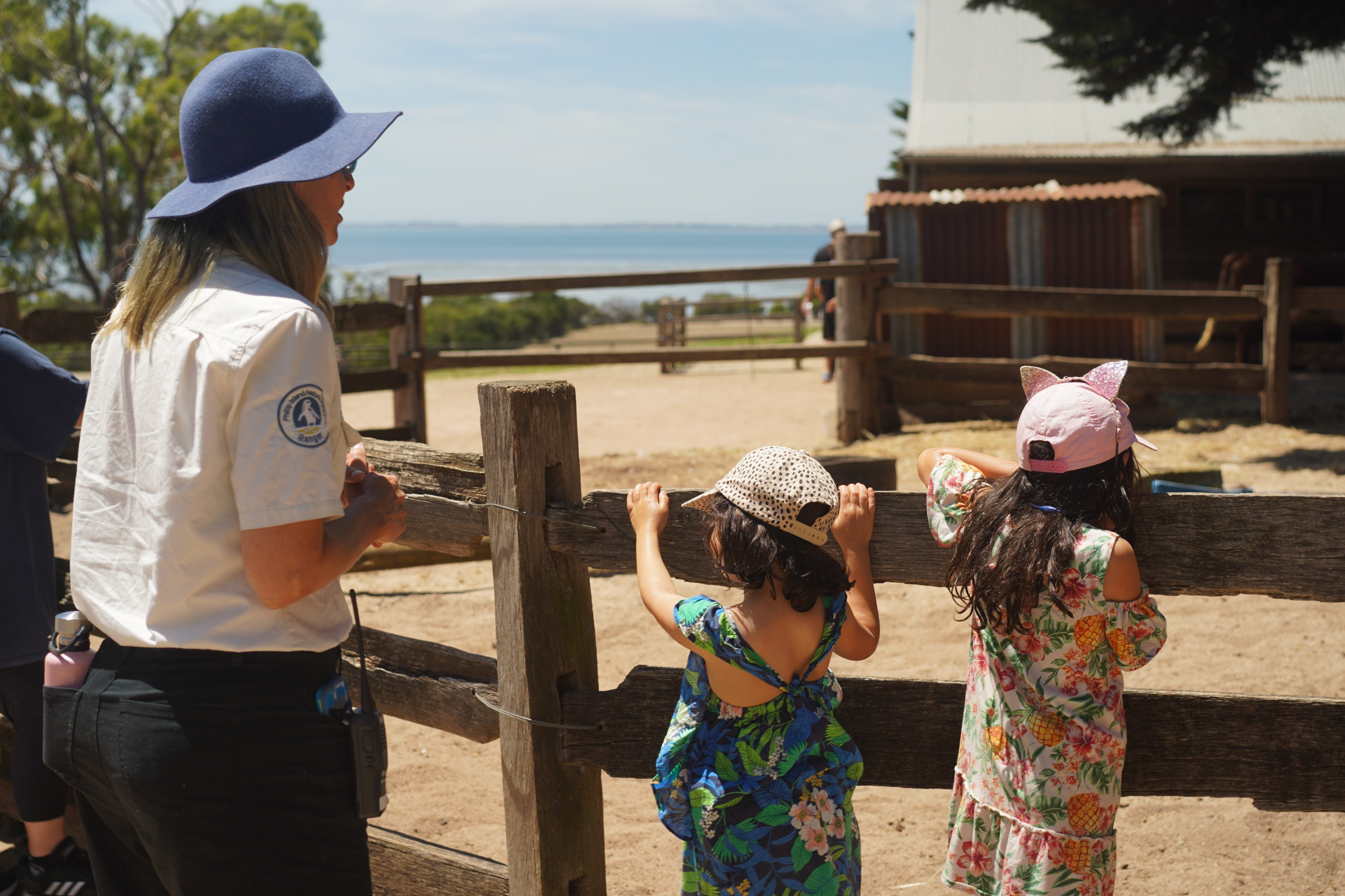 0Db22Dffd68Ea9708E2A5918E92E557A