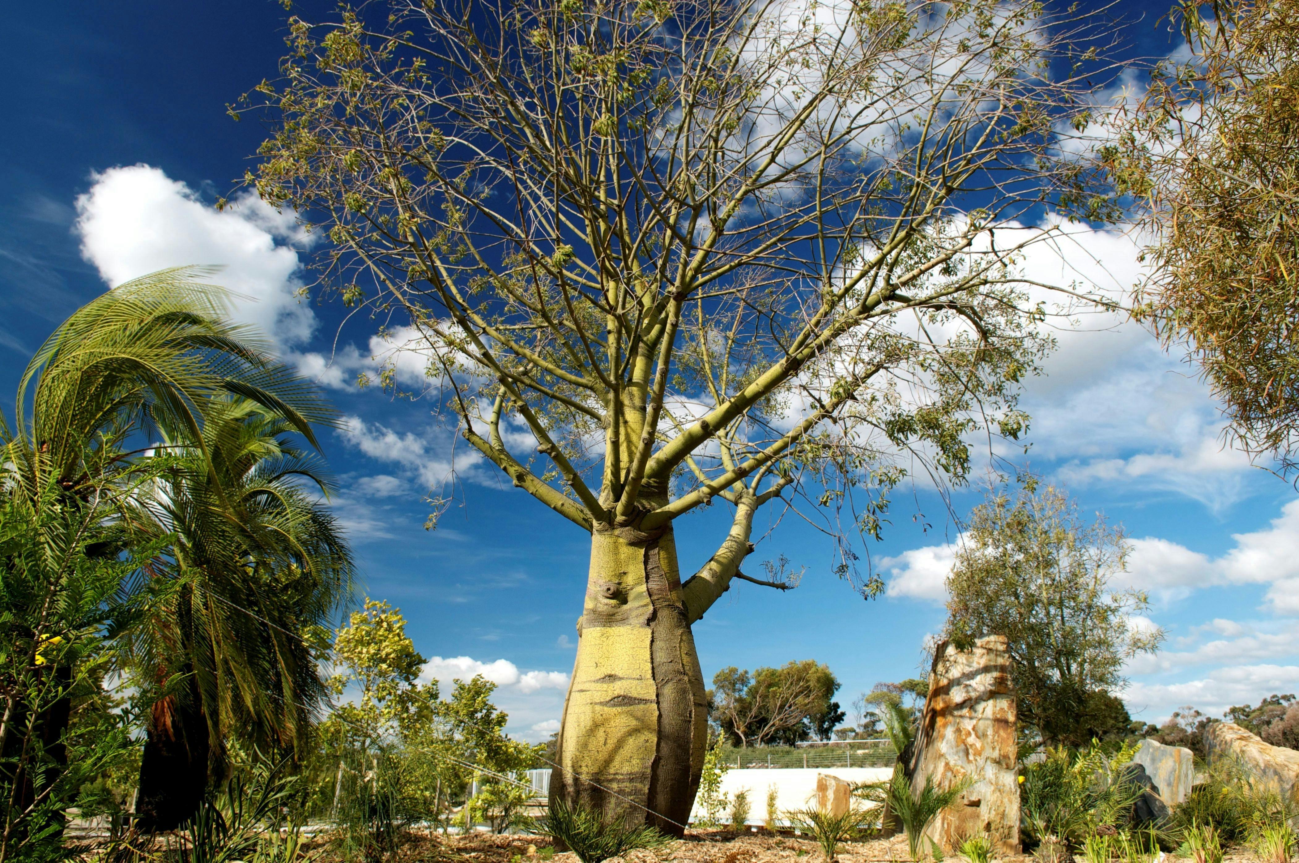 16E6998424607F9393Bf2Aa70372931C