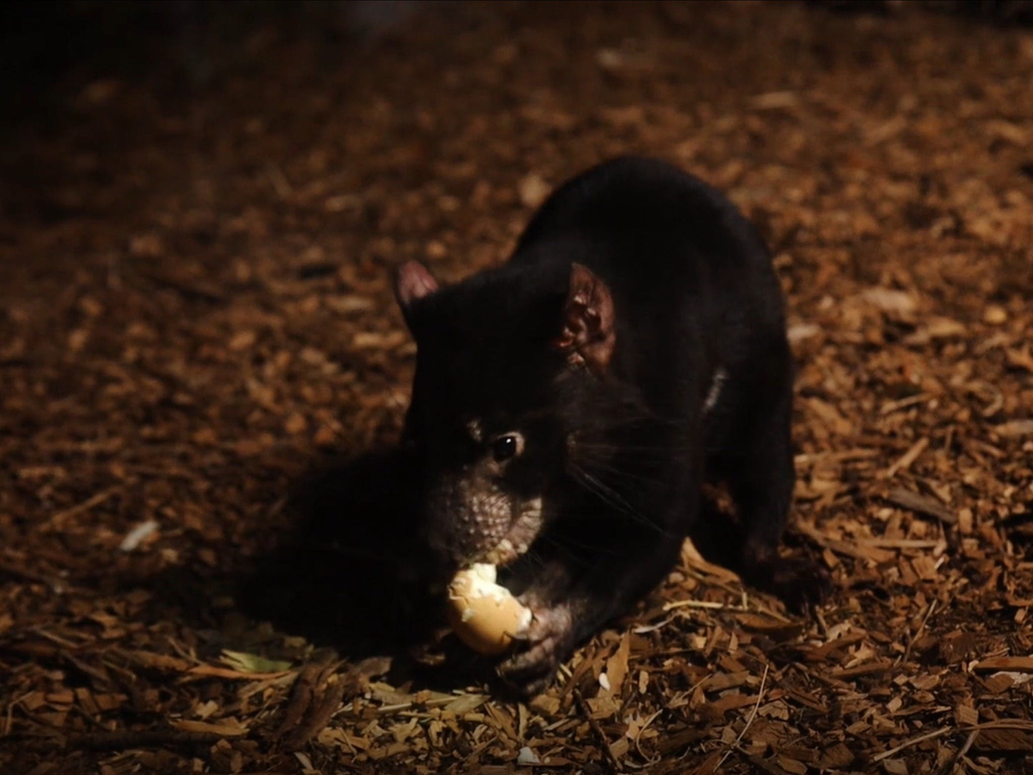 1802F699Cb348F4047Fef71A8361Fffe