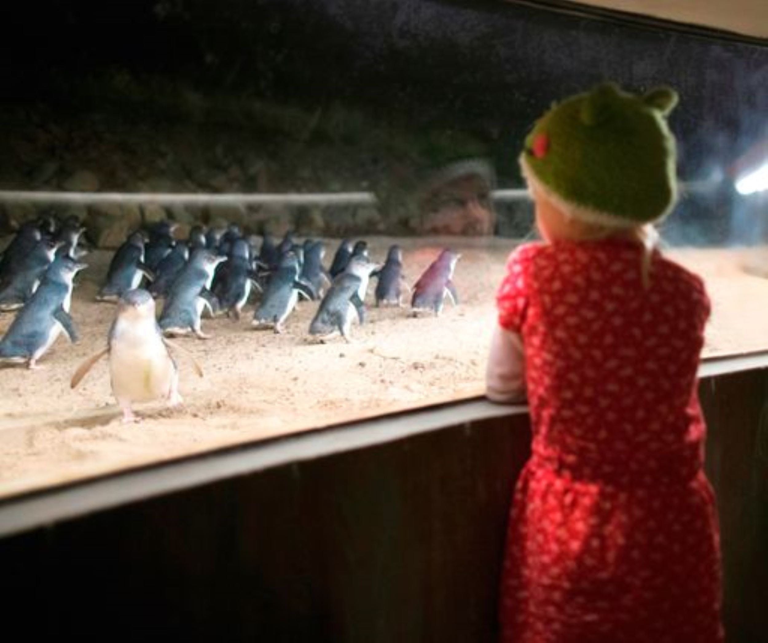 19E6466F15188679421B933B9C31B894