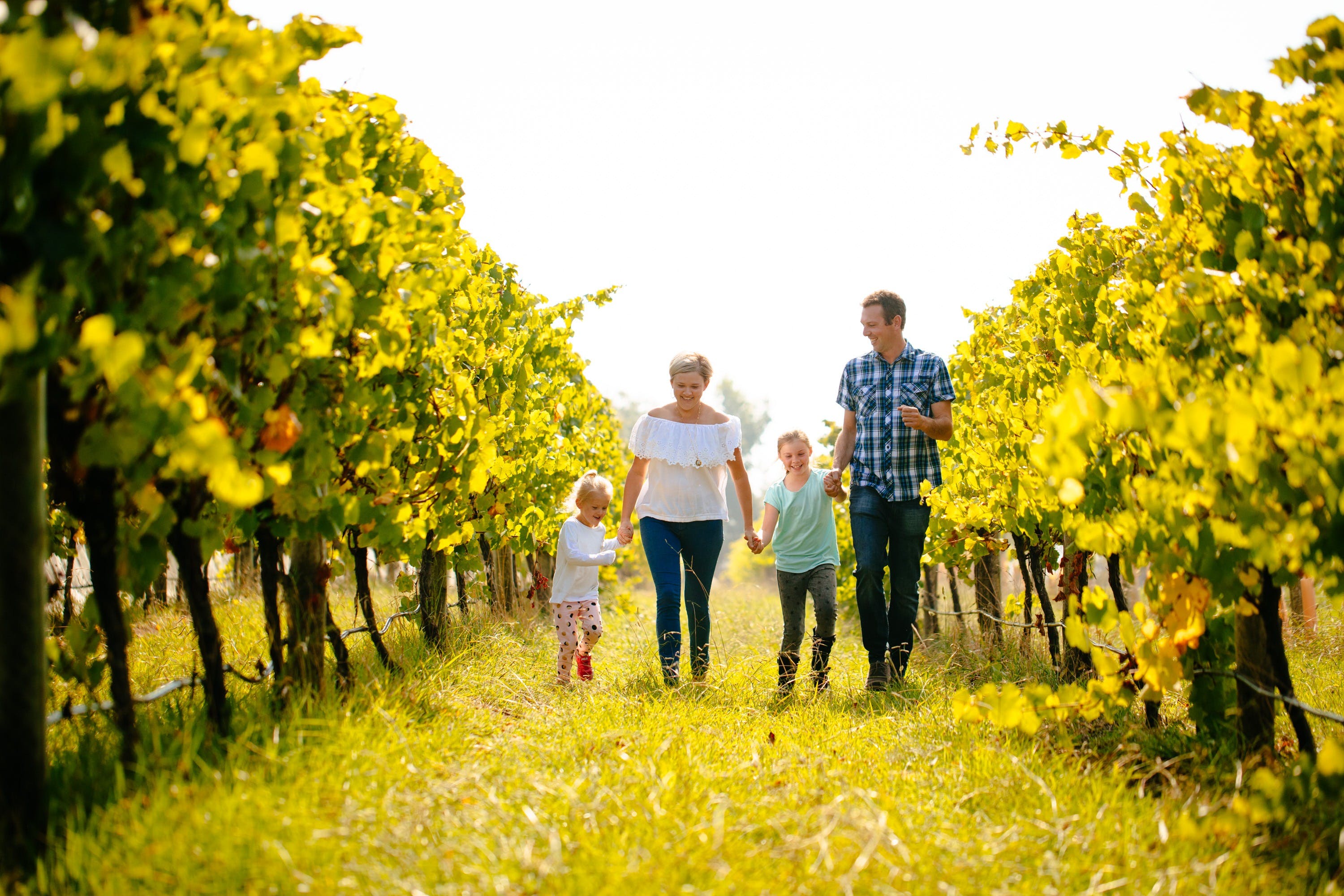 1Ebb76E301147752D936676E8Da0D25F