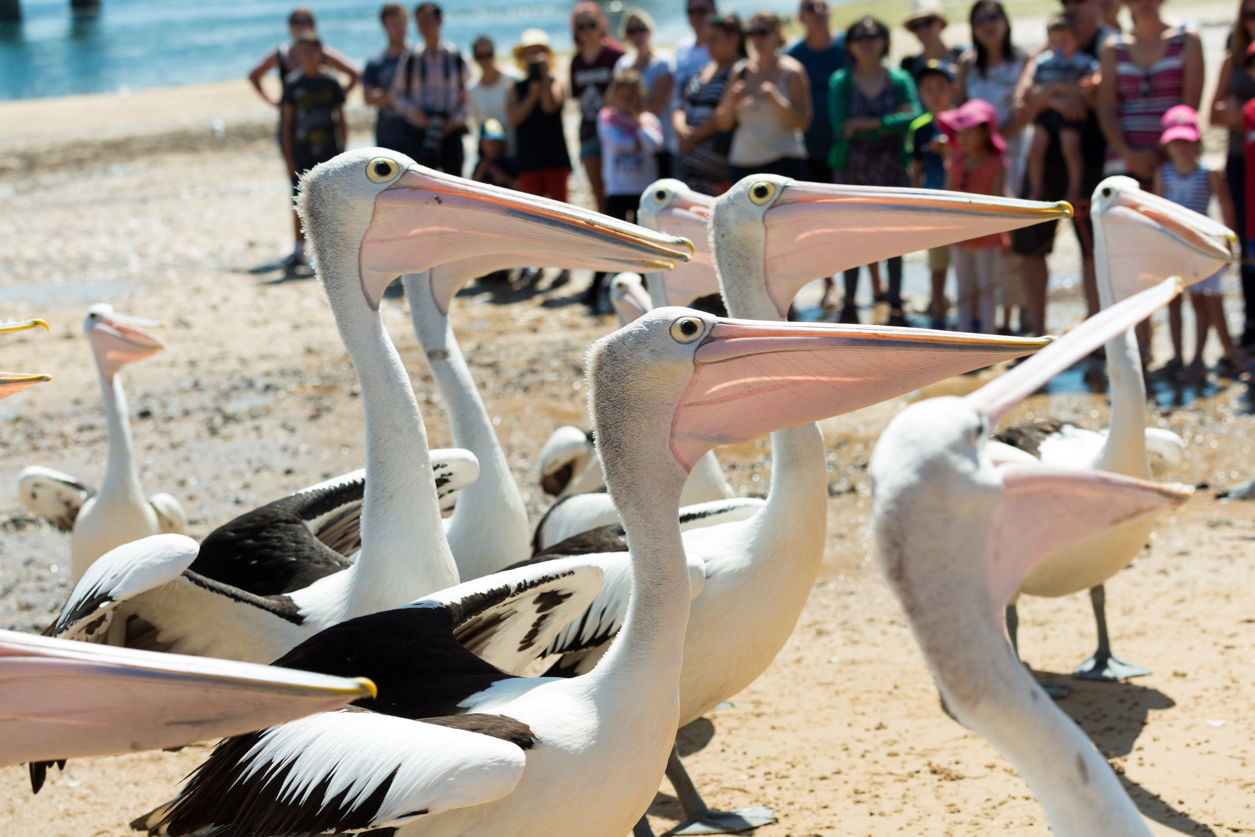 2306323D6C7A3982Fca1839F6586A9Cc