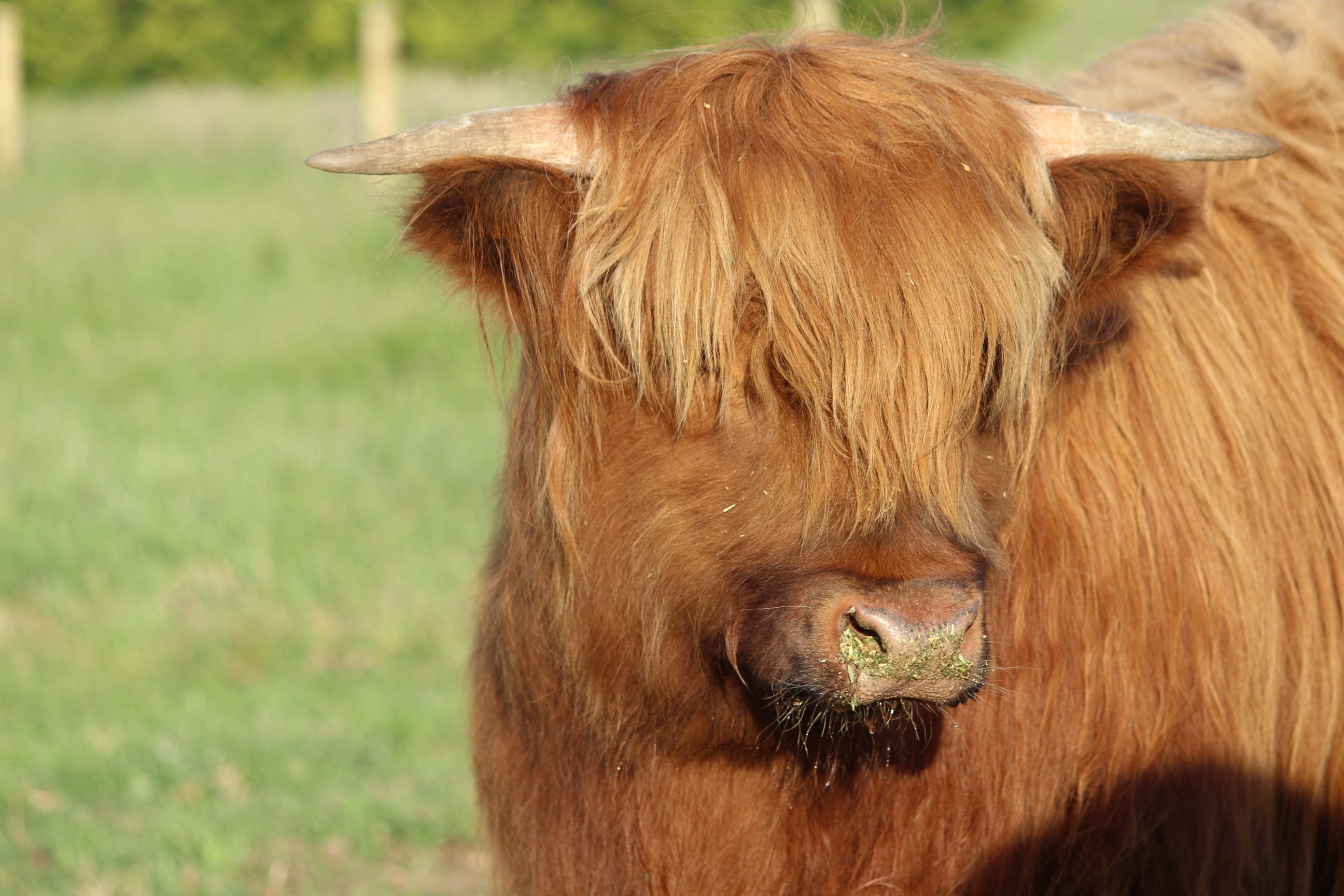 23C202Ec793E4887943622D91682Dfb7