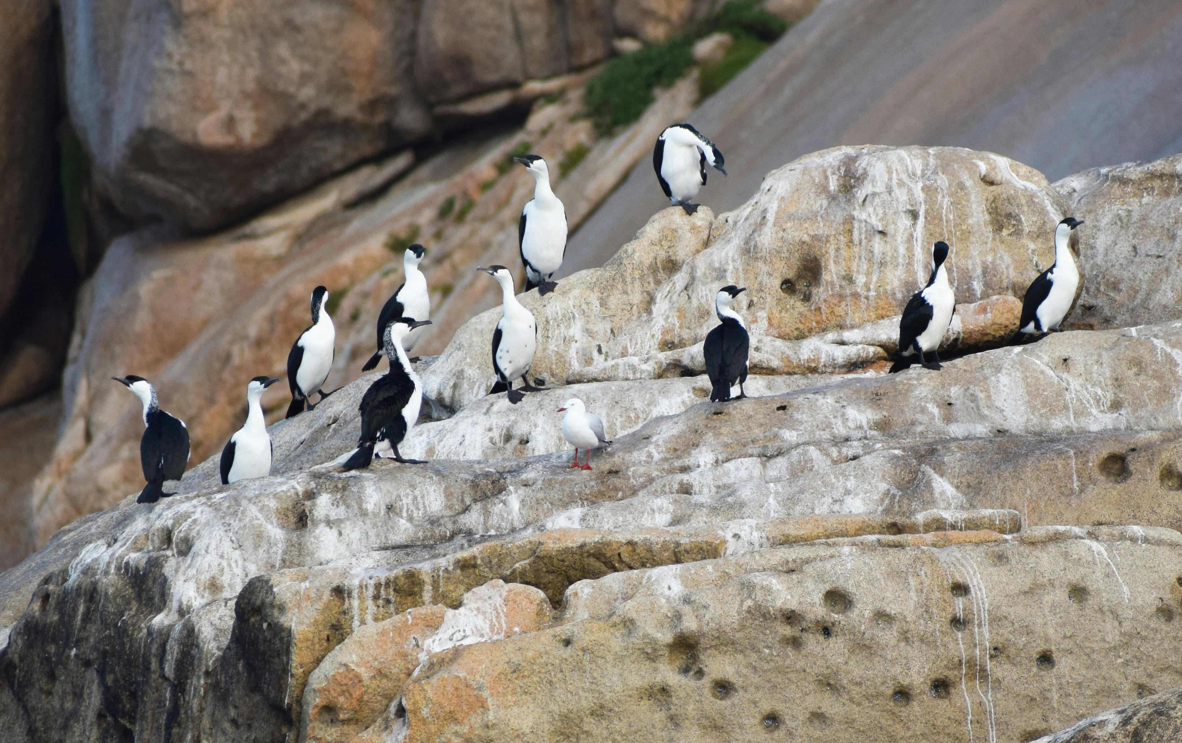 25385Bb93B9871Fb9Cd63D6C77F02B21