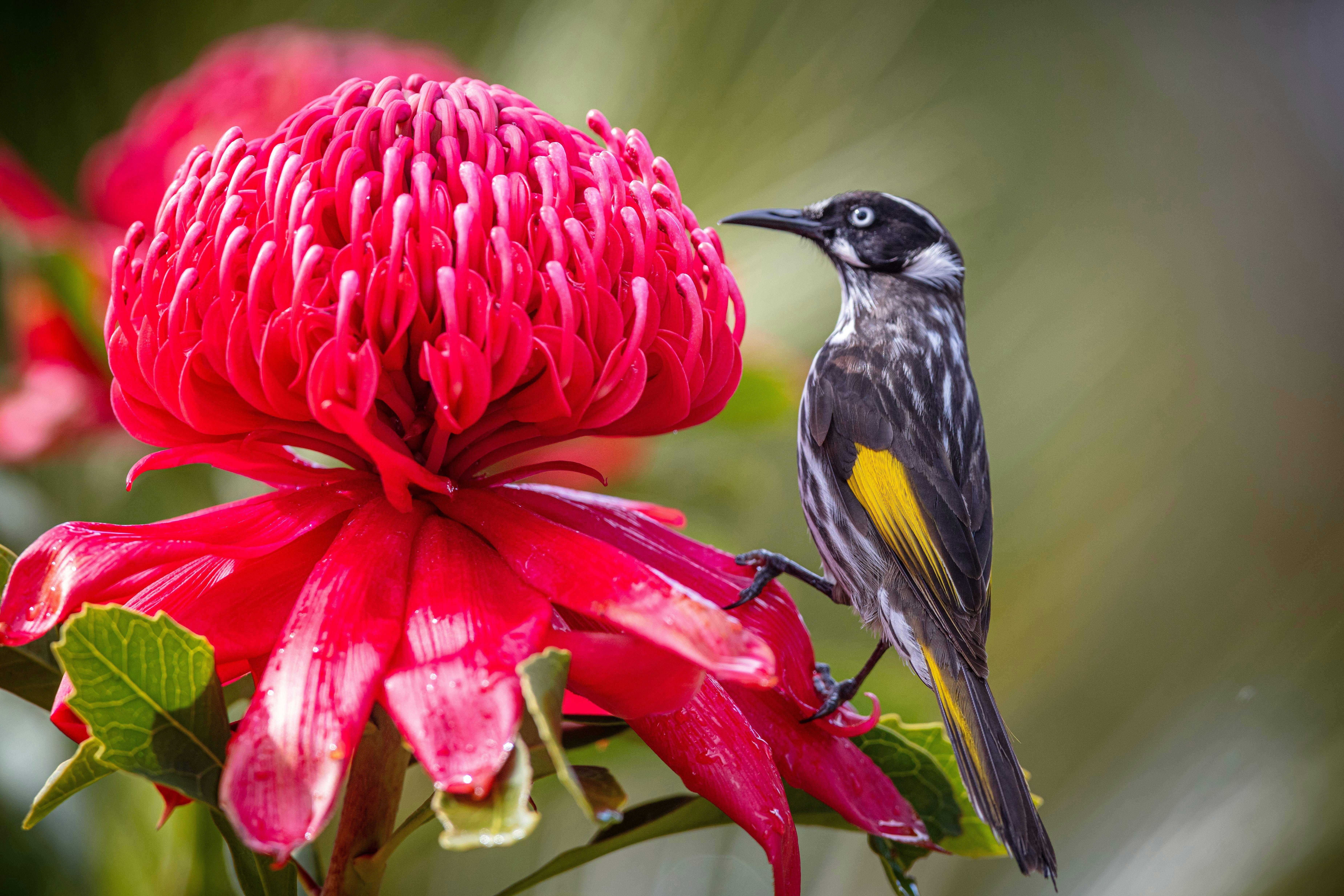 27B32C38Ef393D949C4Cea064Ff104C9