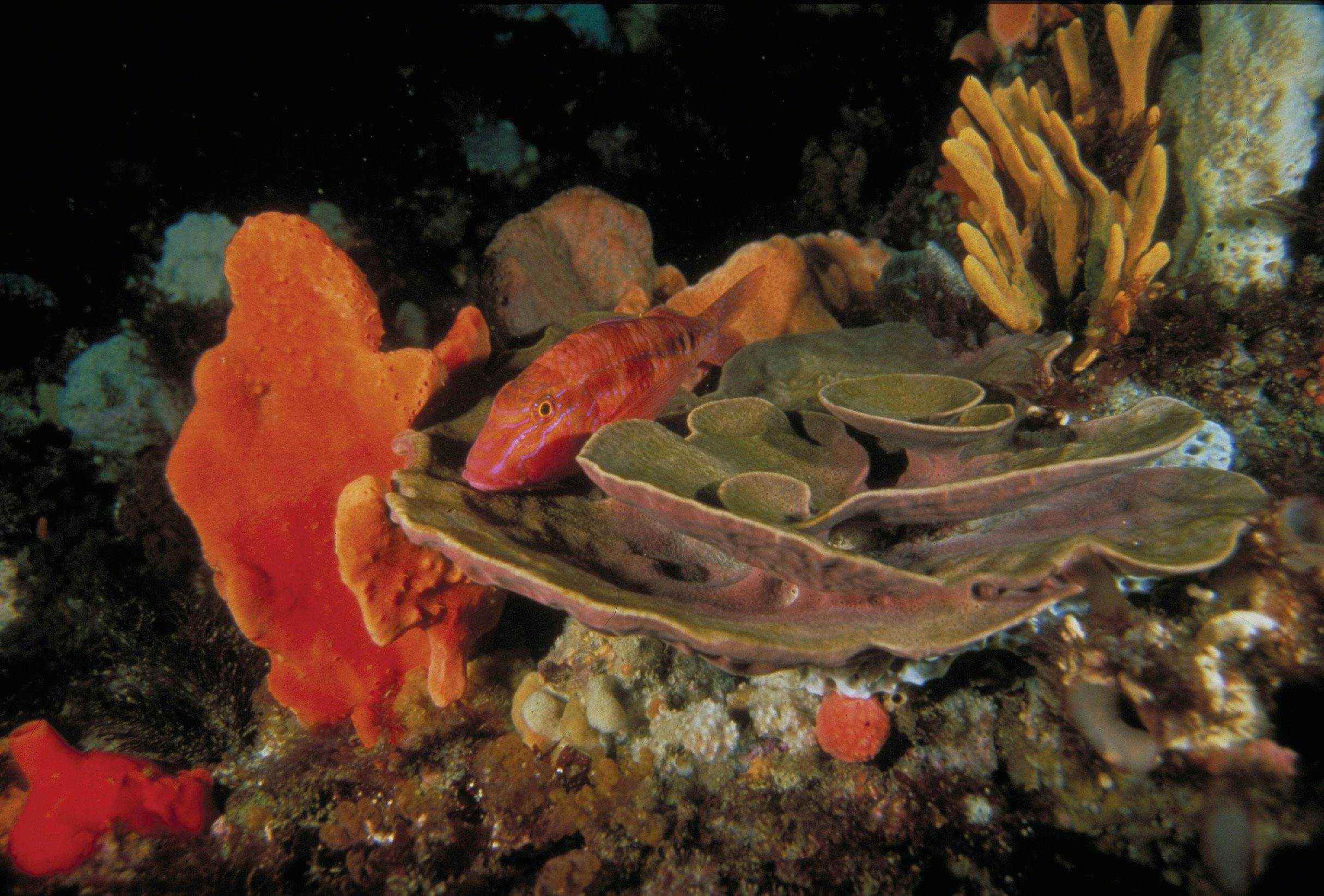 2Ff084268C722451966Cc362A4Eaa231