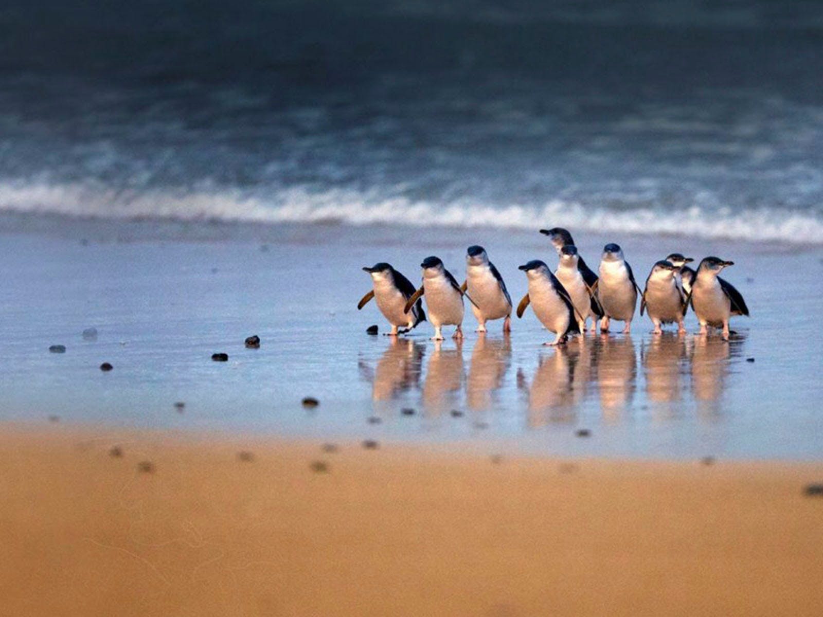 388D1C15A28Cee6335Cd19Dcc7B8E921