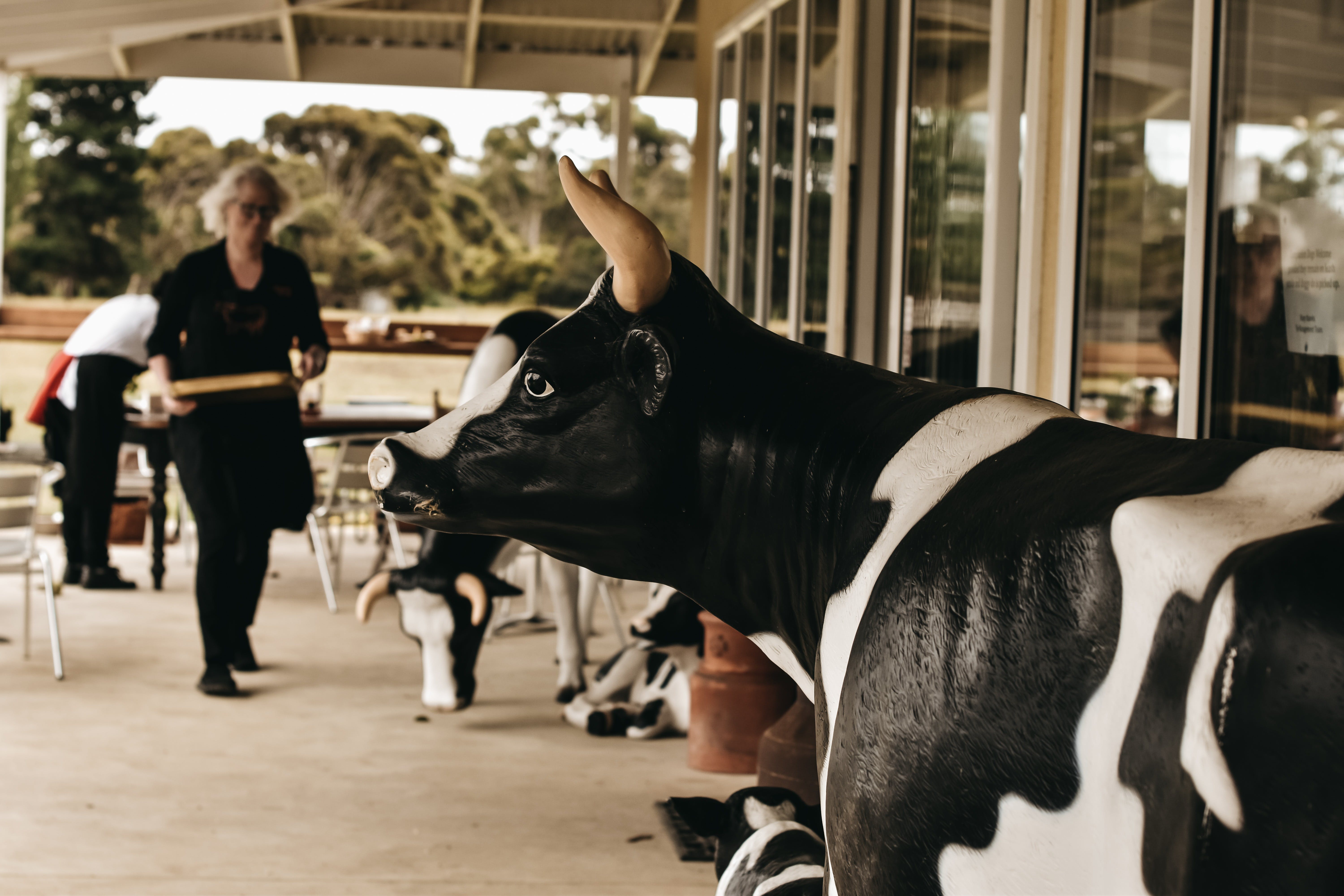 39C8Eb108610B93F12F617A35B25B321