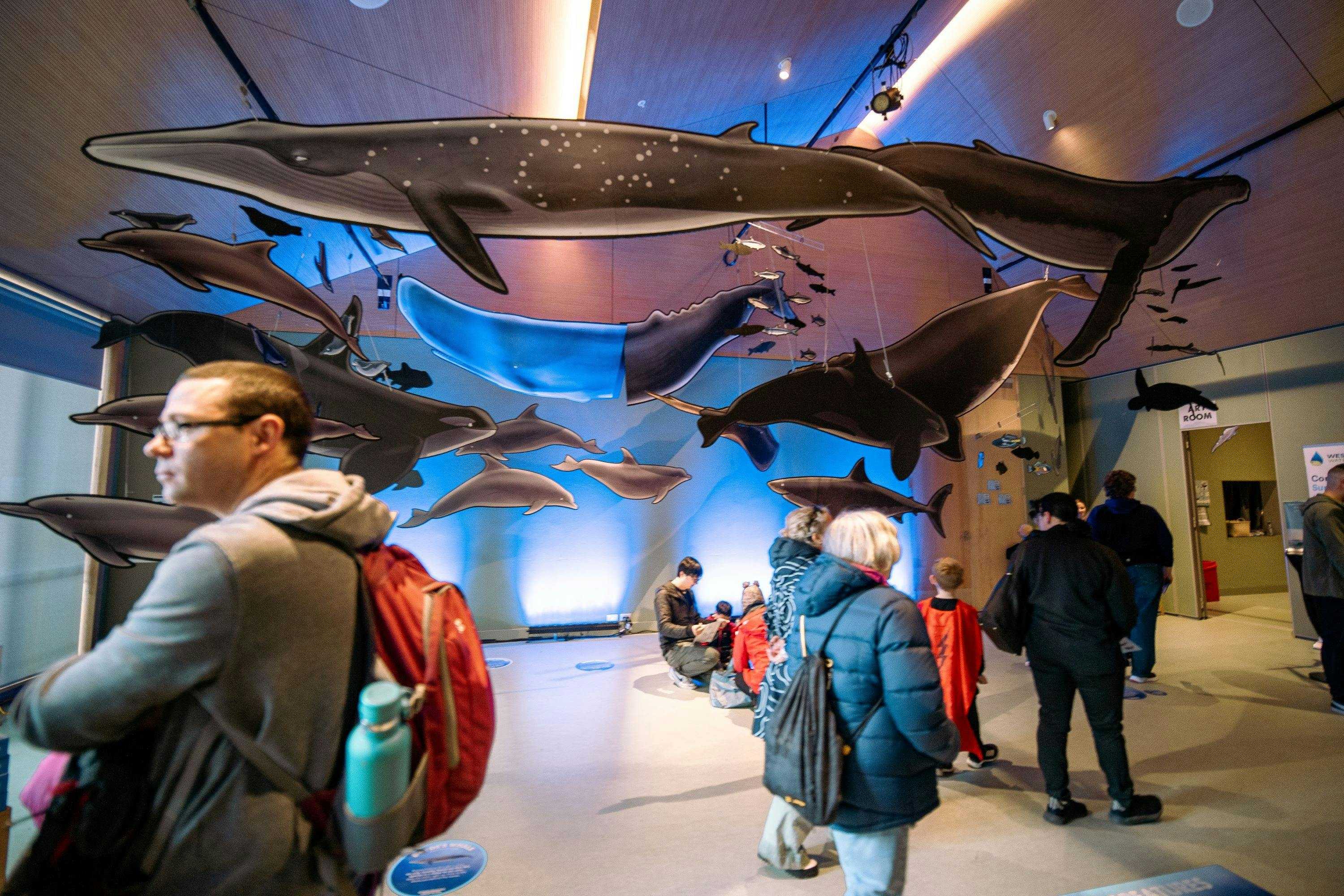 4A600114F3Ae3B80Dc482Fc1F62B33C3