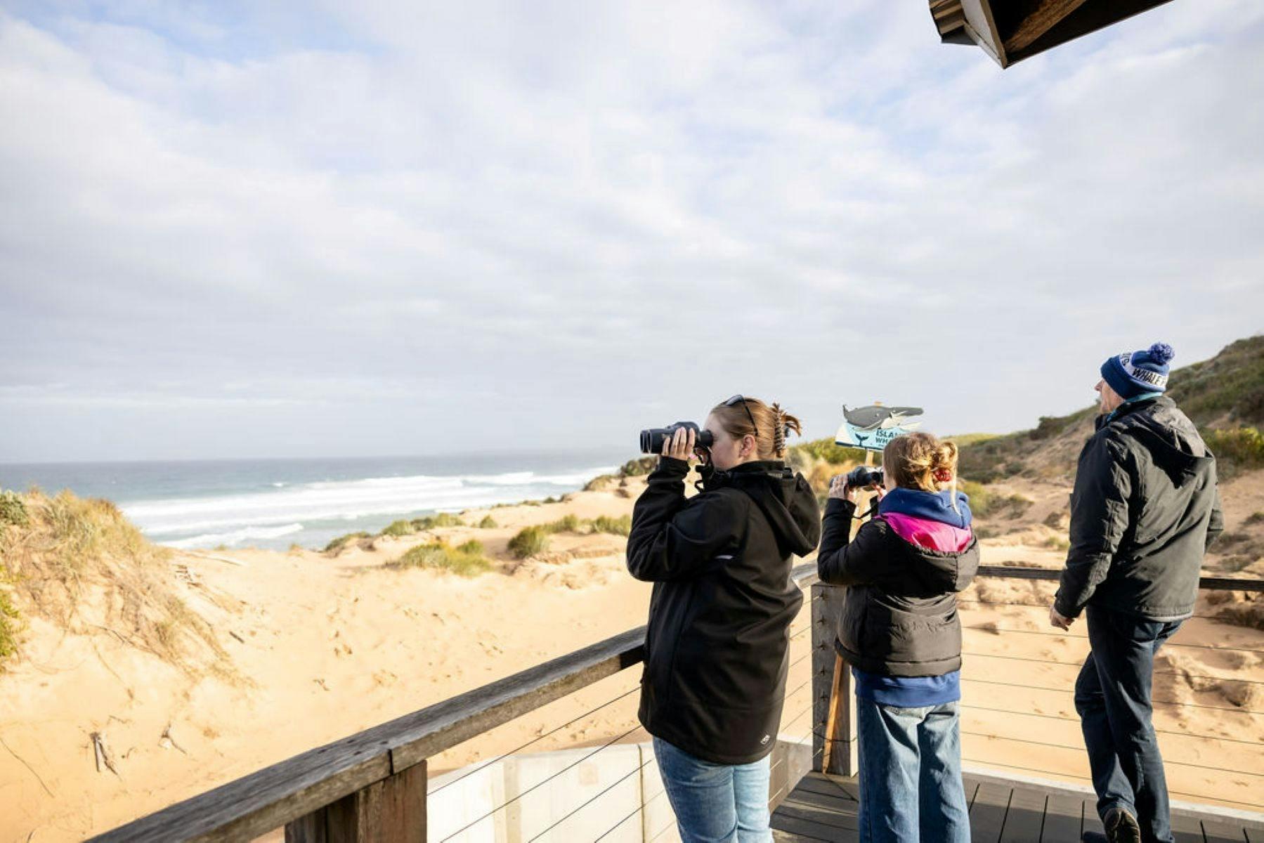 4B8Ed4E9358C731Daf60E77E3893Ec32