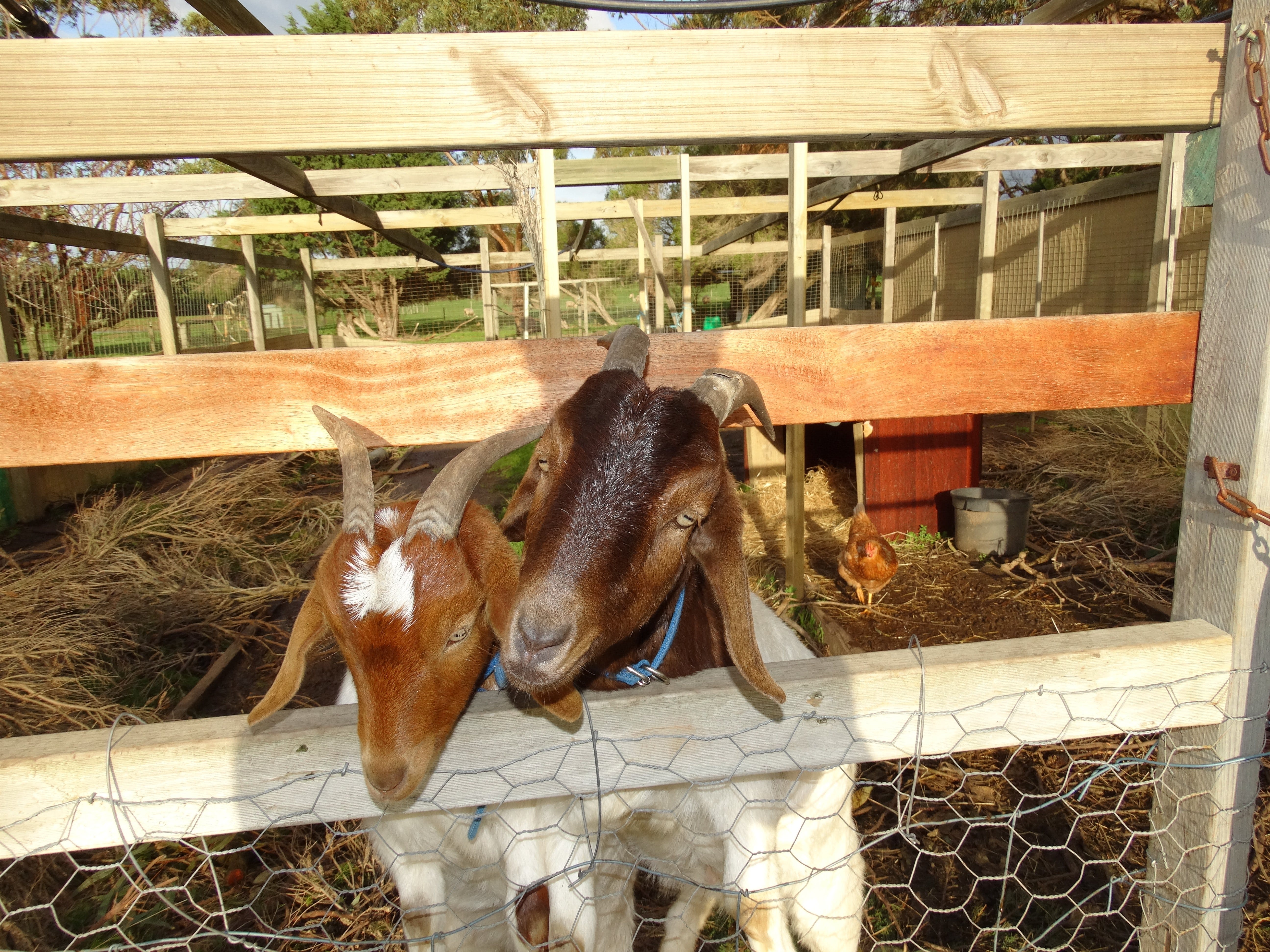 52C09Fb87E2Edd30733C0C15Df67A8Eb