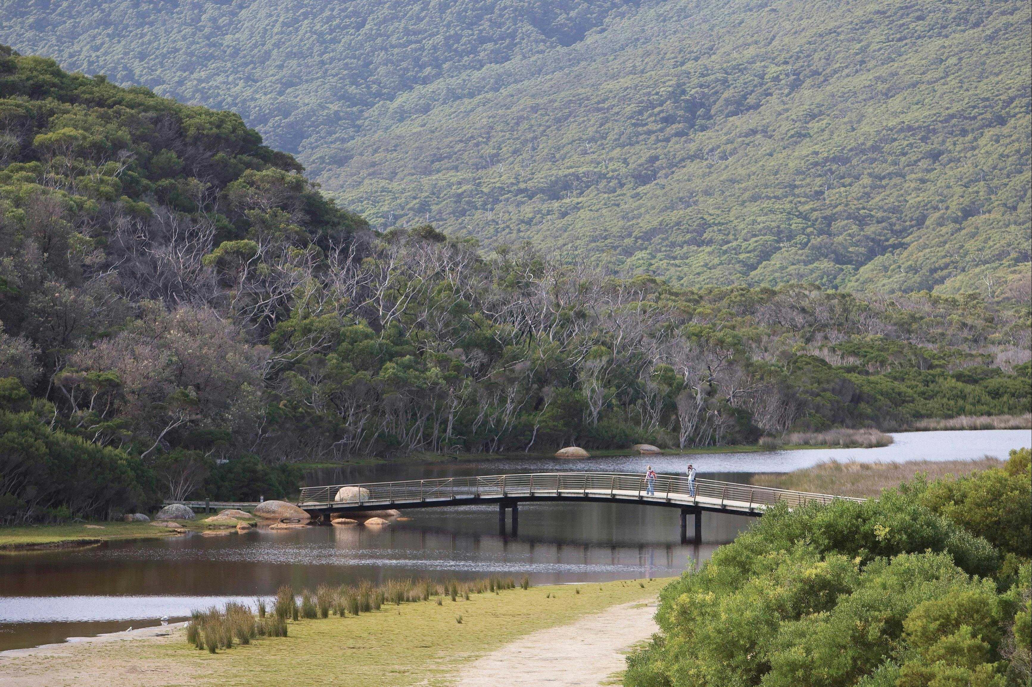 586C4Cad535Ecab7E2B506F099Afed55