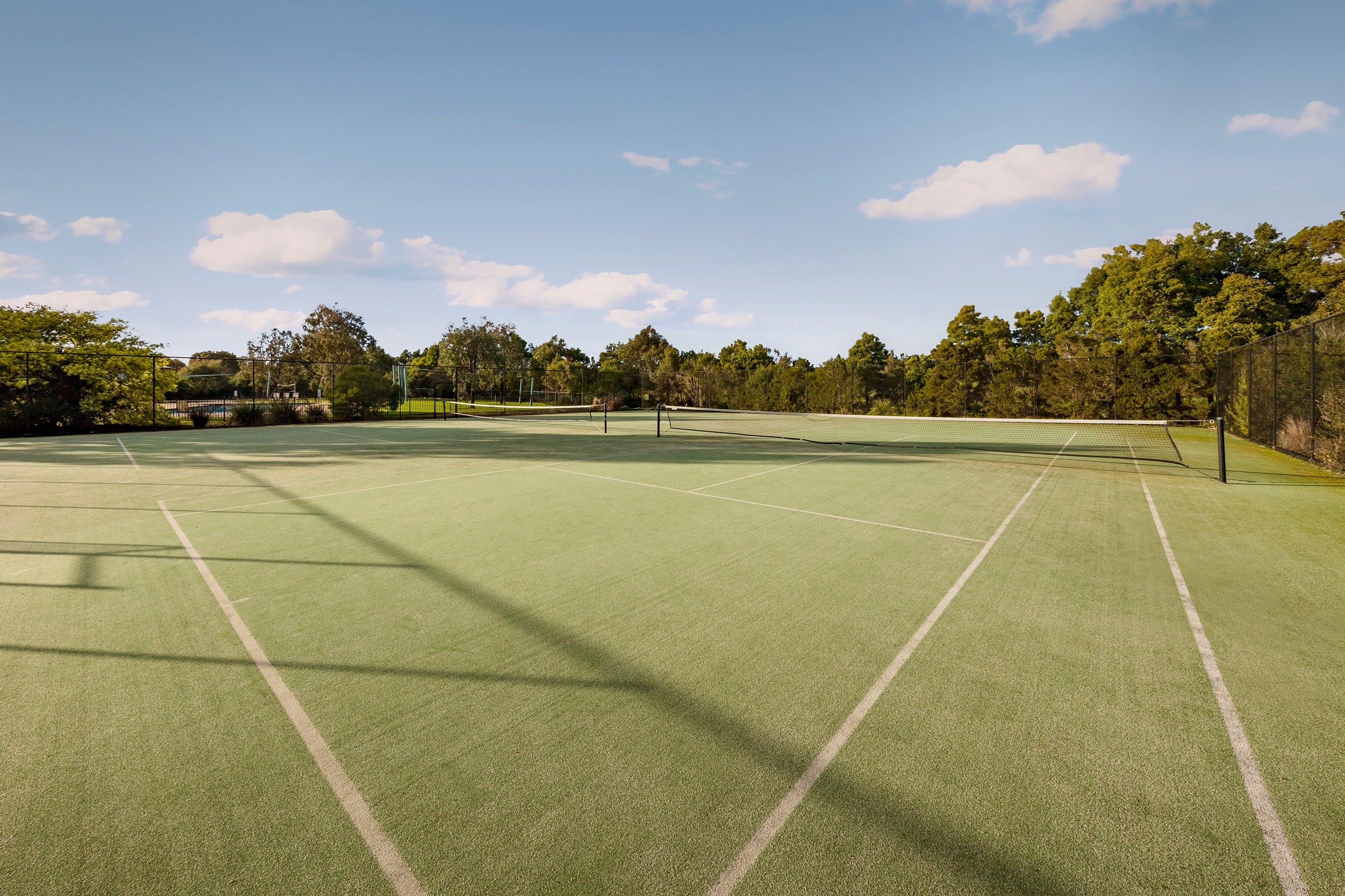 62658736B41Ee229Bf3Cdbf4063Dd7D6