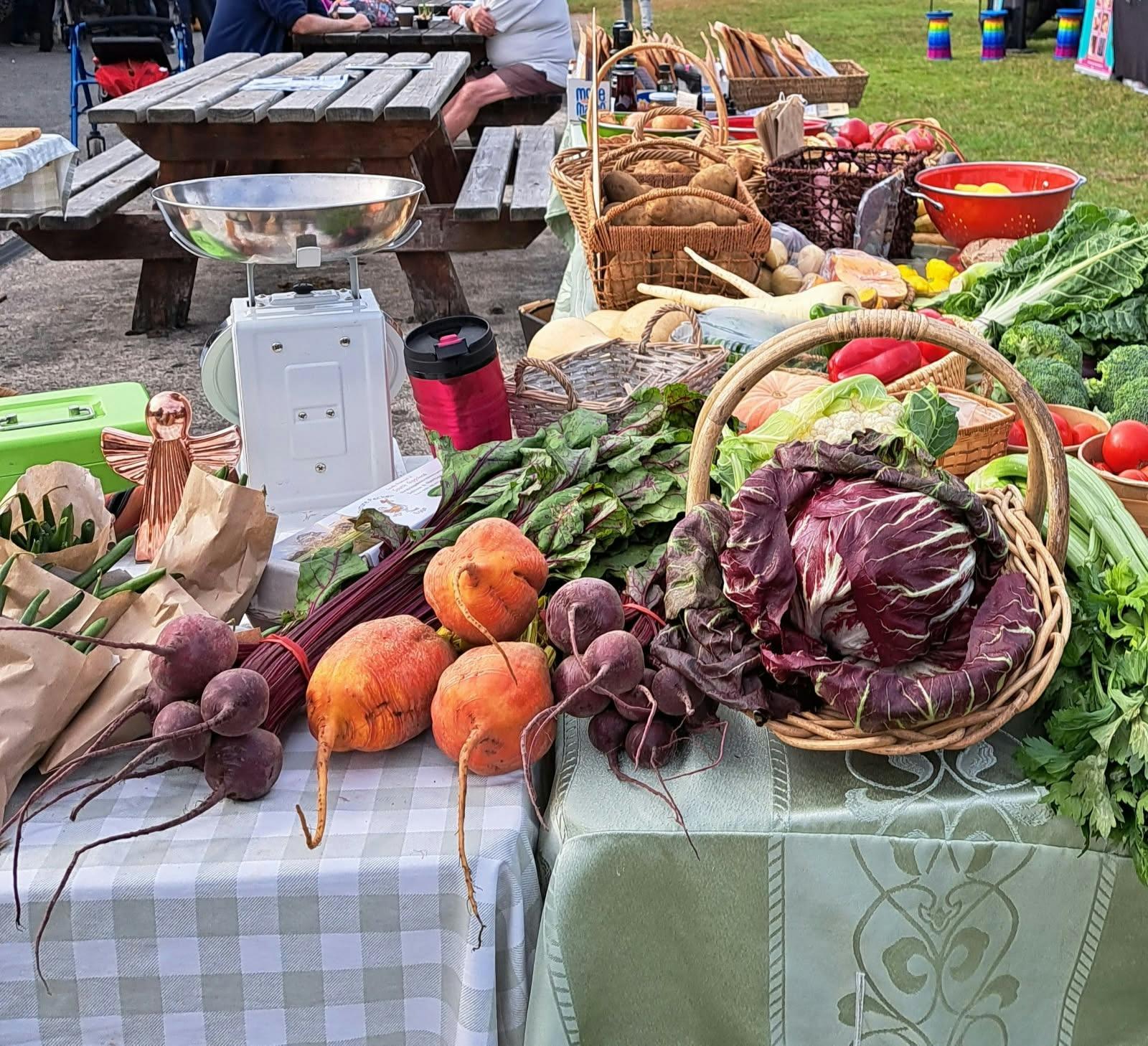 6B4E47625A40316Ecc49D1553C08A7A5