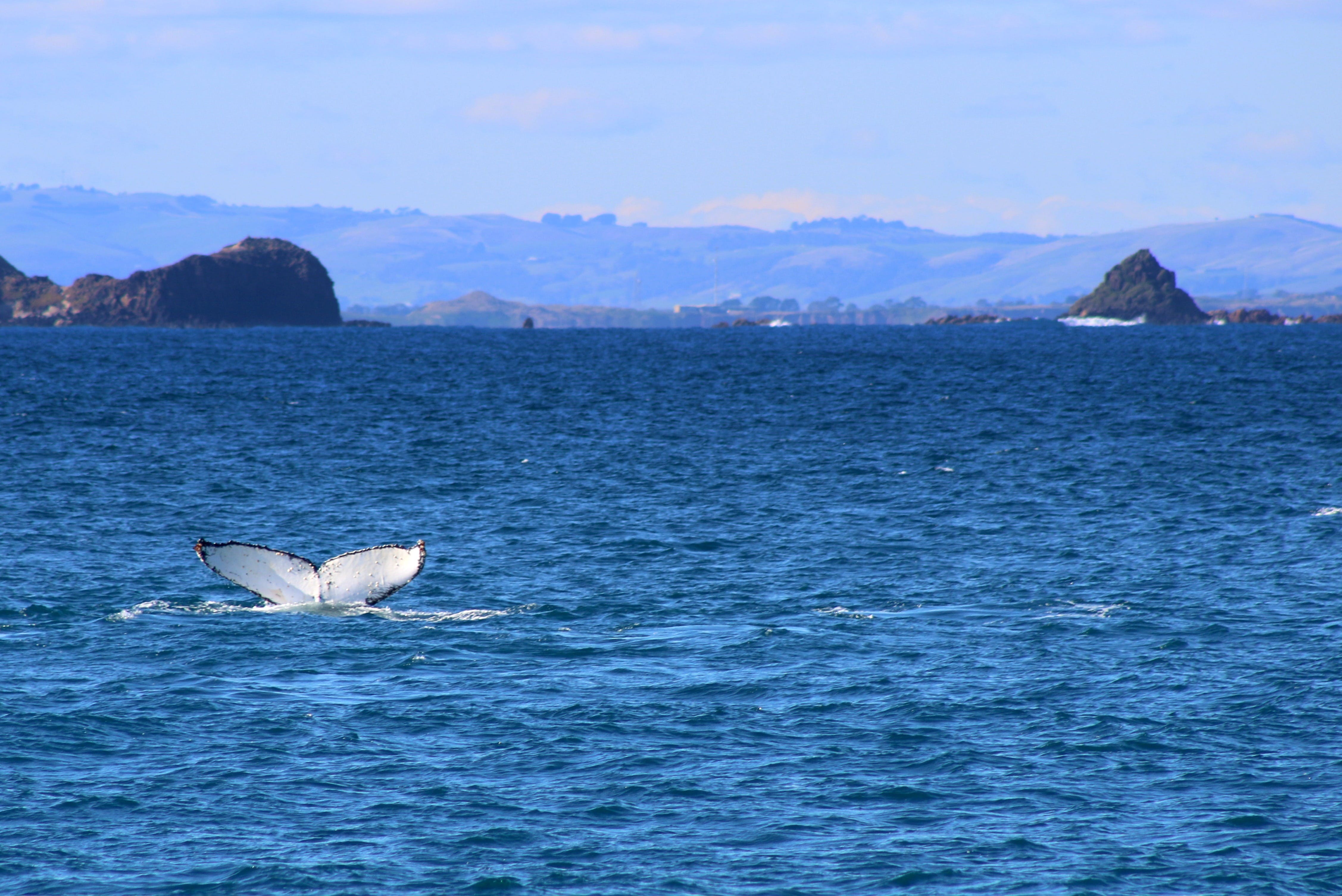 6E4C7Ac324B548A91Ec96A5187Df2D13