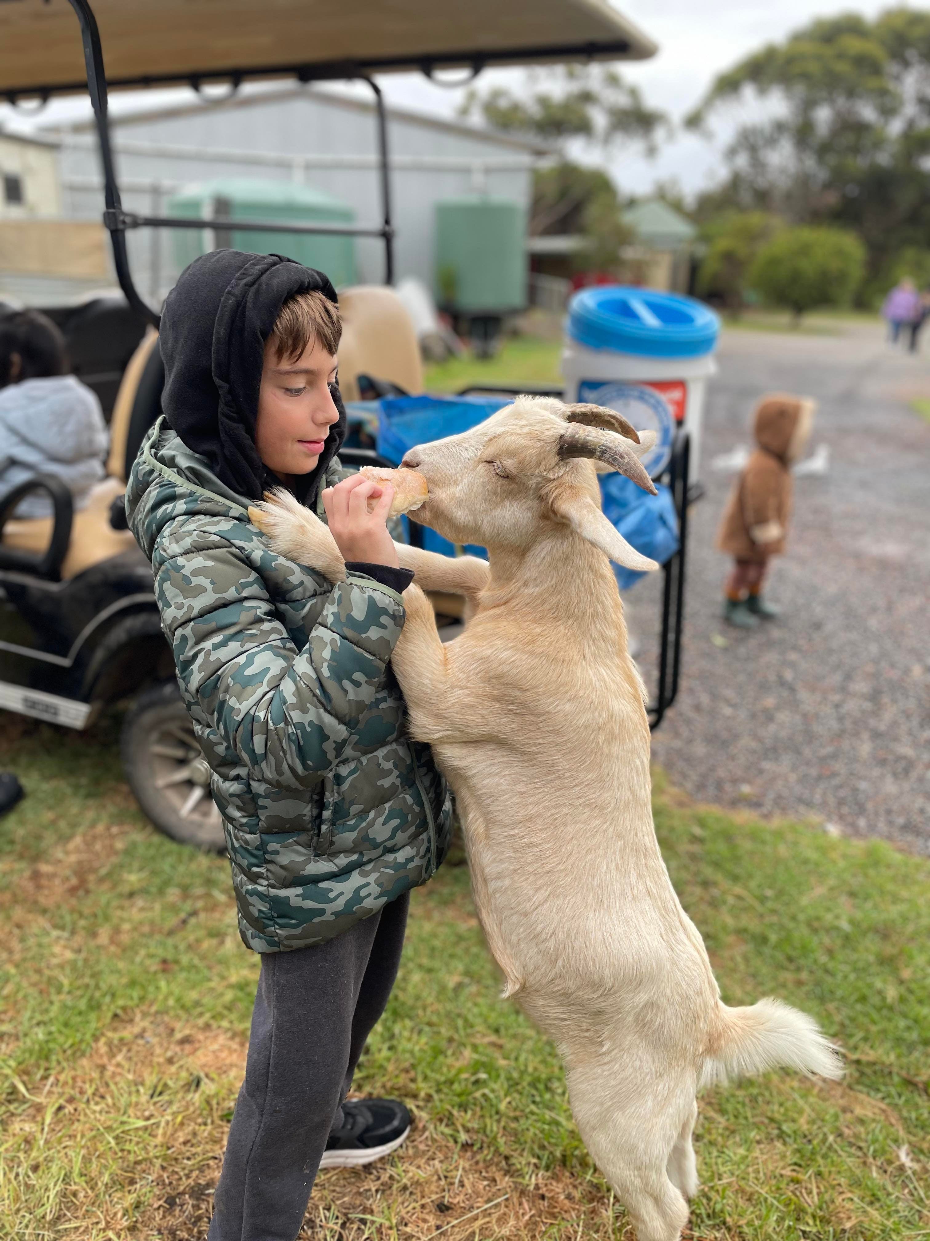 7791F563A3Cb1B41D20Cc2E69Caf2D9E