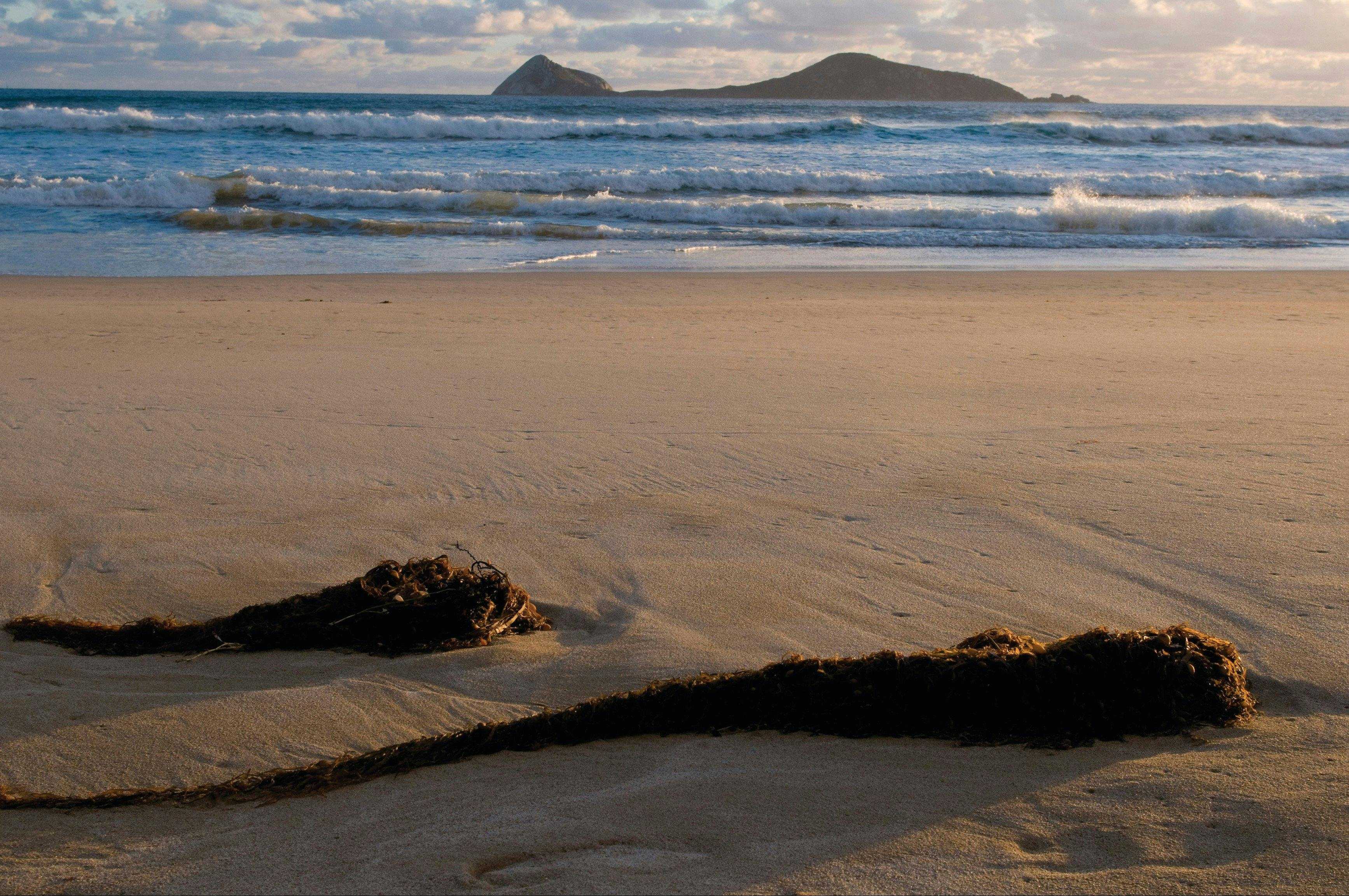 7Acfd7Efa2F2Da308A255Af88B6C64B1