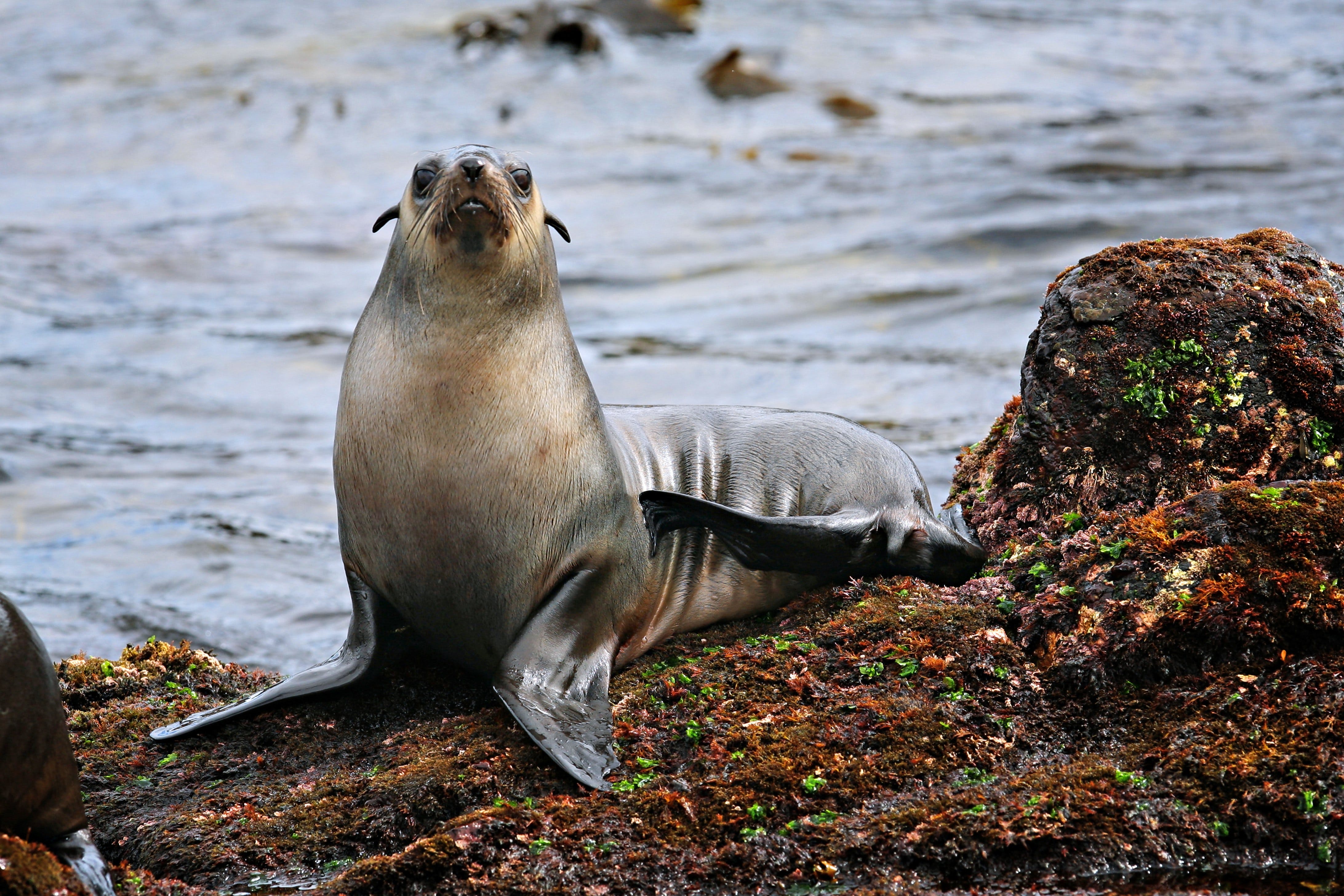 7Ce282Fe7943D6C2778754186Dad2C10