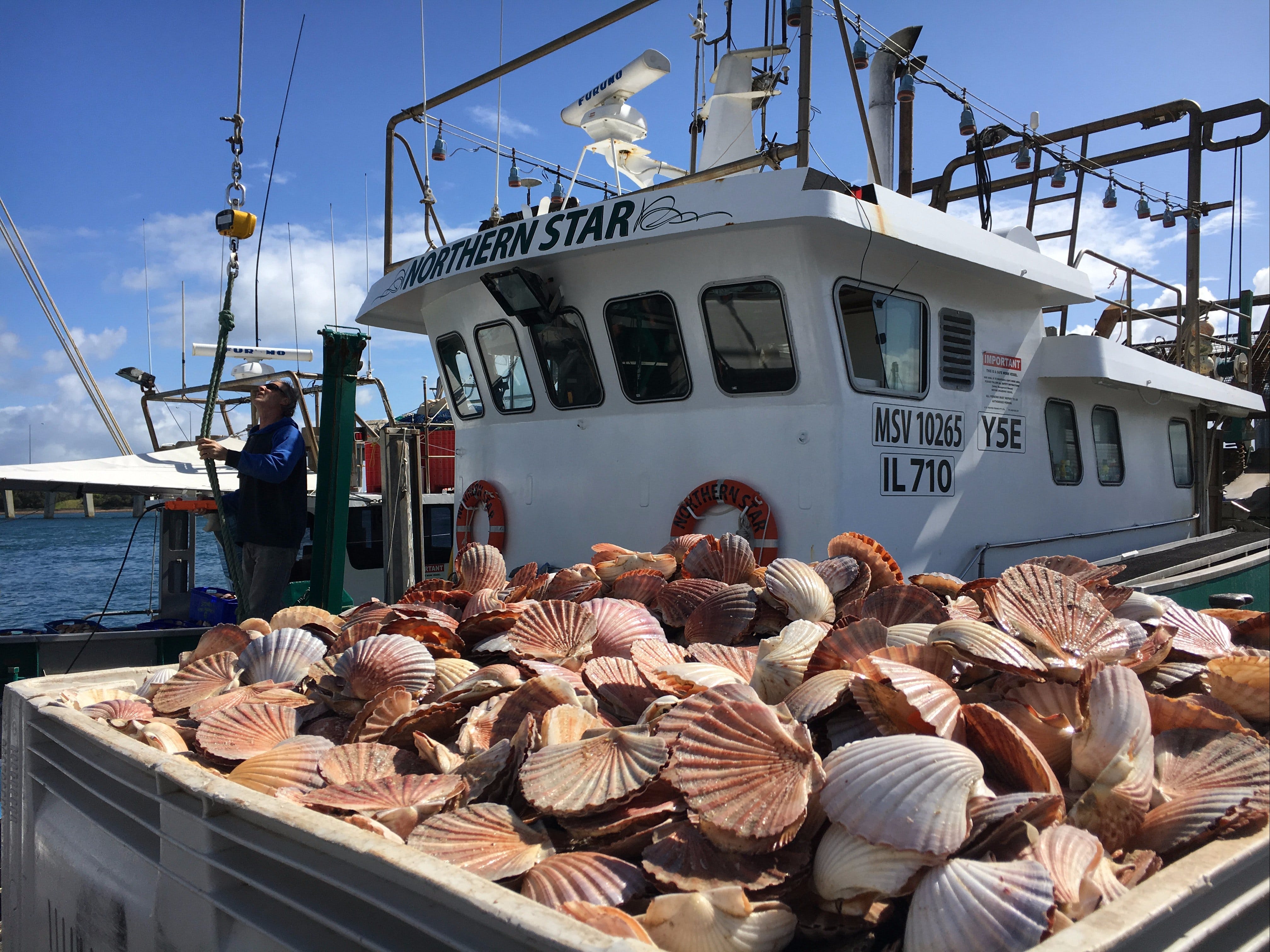 818Eb8Db48Ea97Ea2C6393B32D258D9C