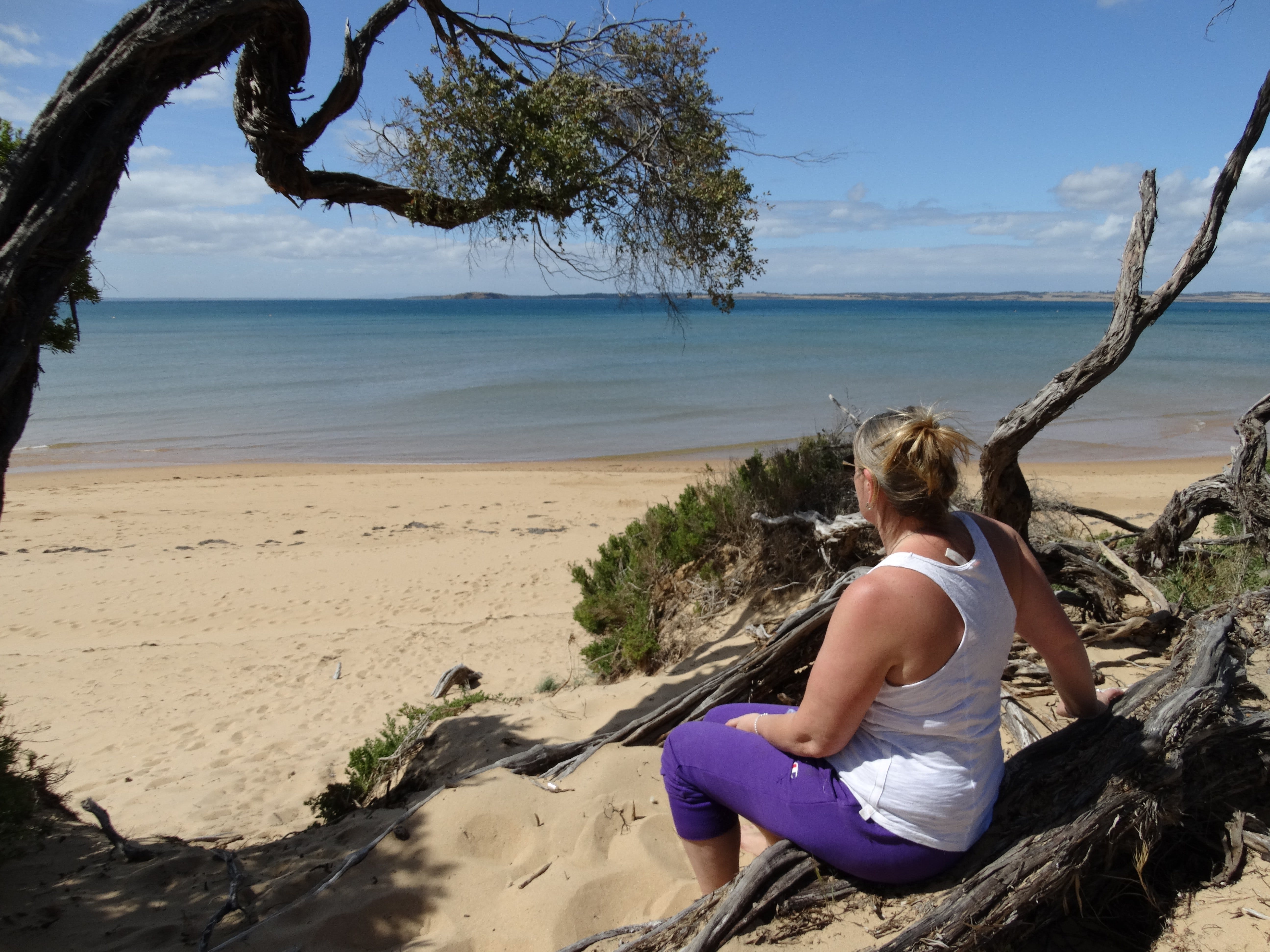 840E2728Efa2E162247A4637B7799C61