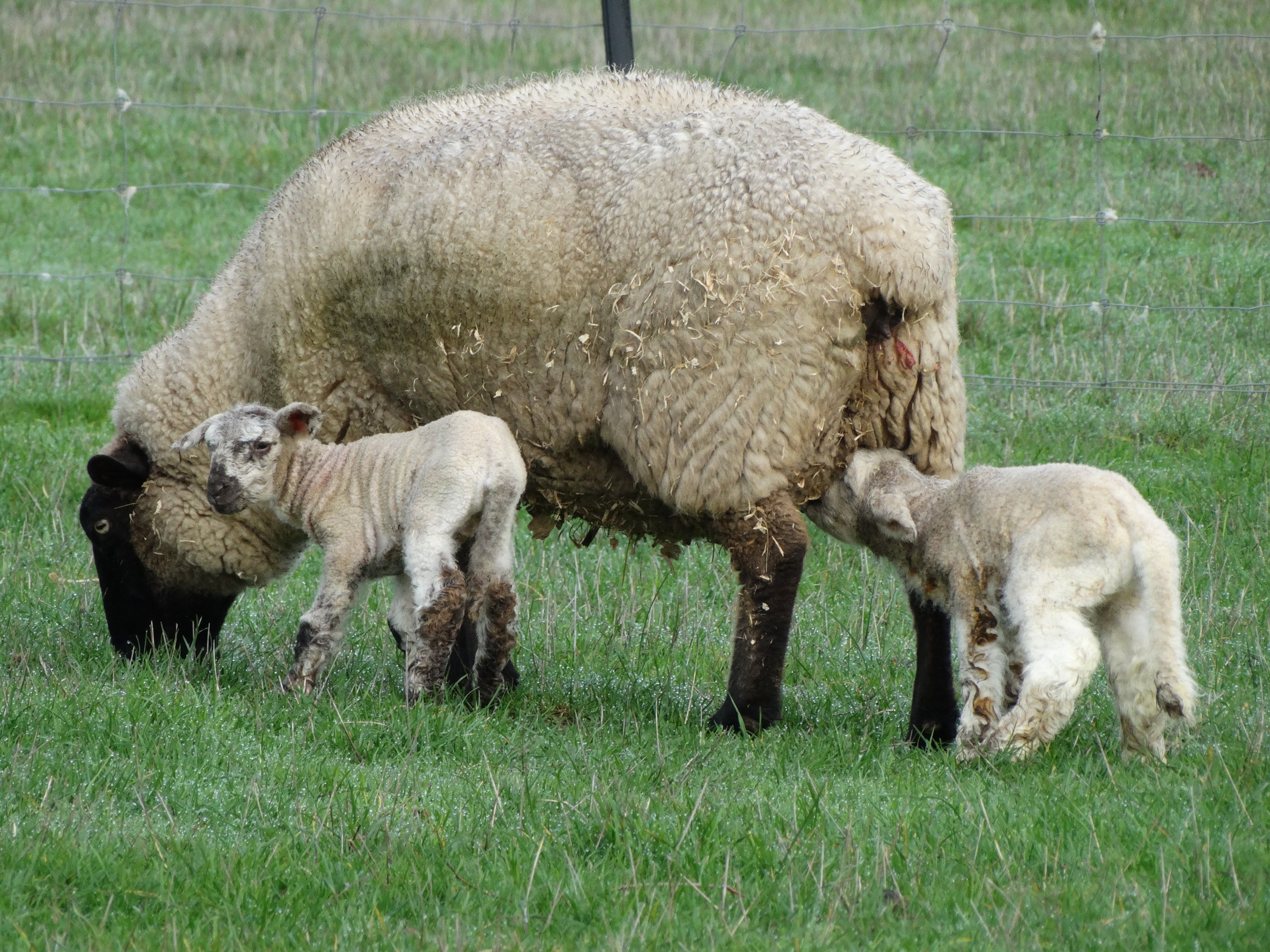 88Ceb428F0Dedb20C171Af83B027Ad9F