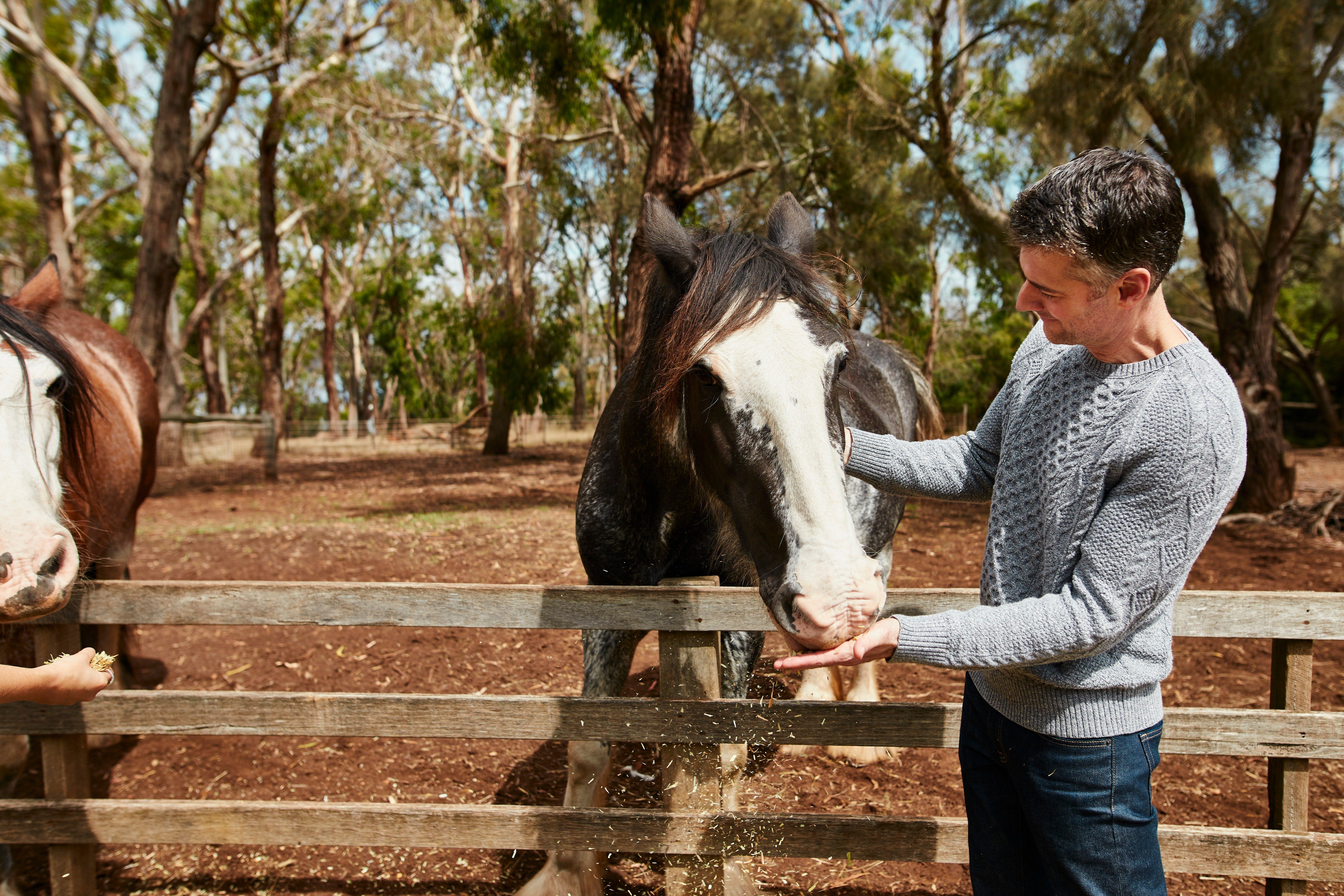 8A8787Dc9E55C416249E7E5383055Ca6