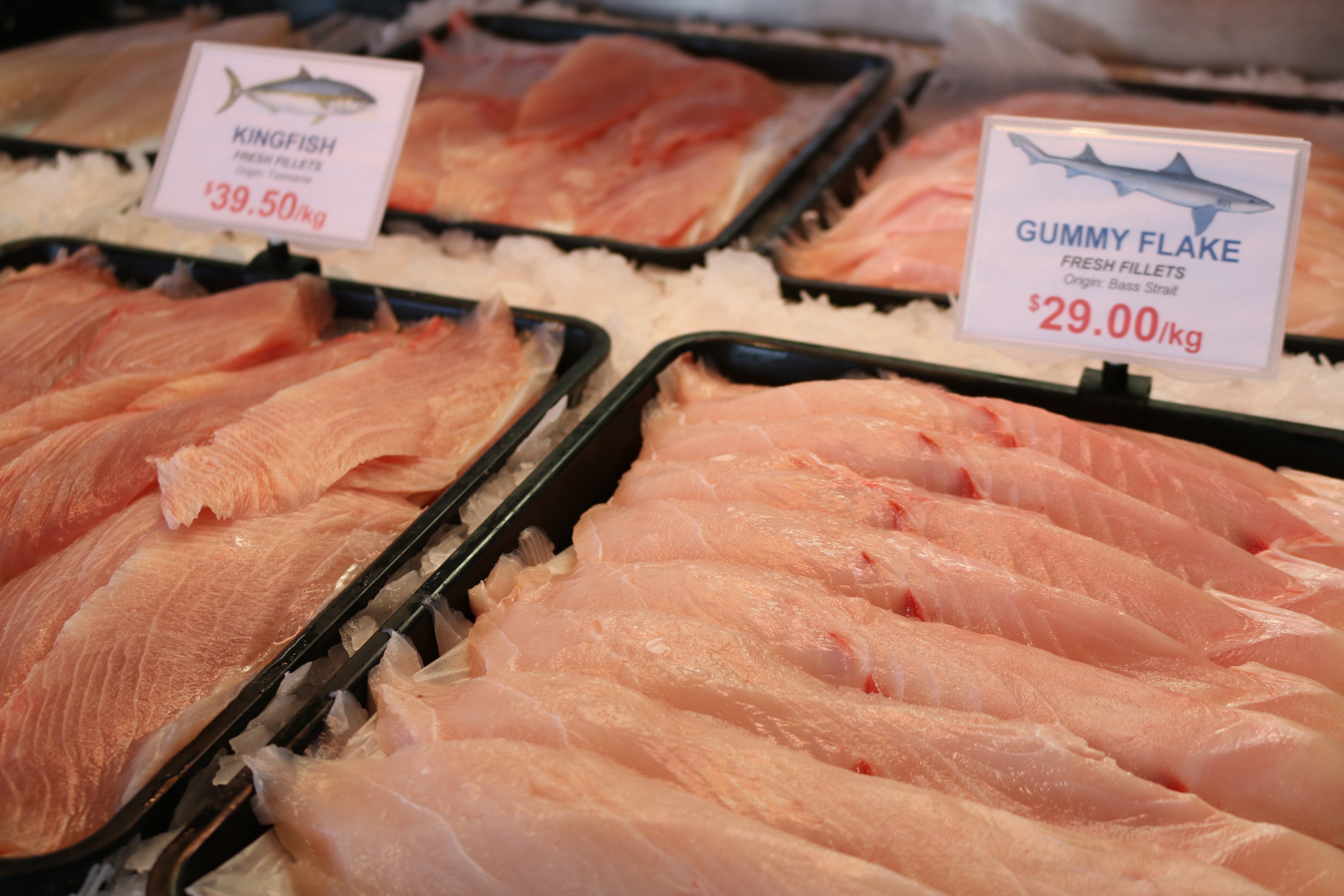 8B11B3514Dfaa74A22E28Fd035488190