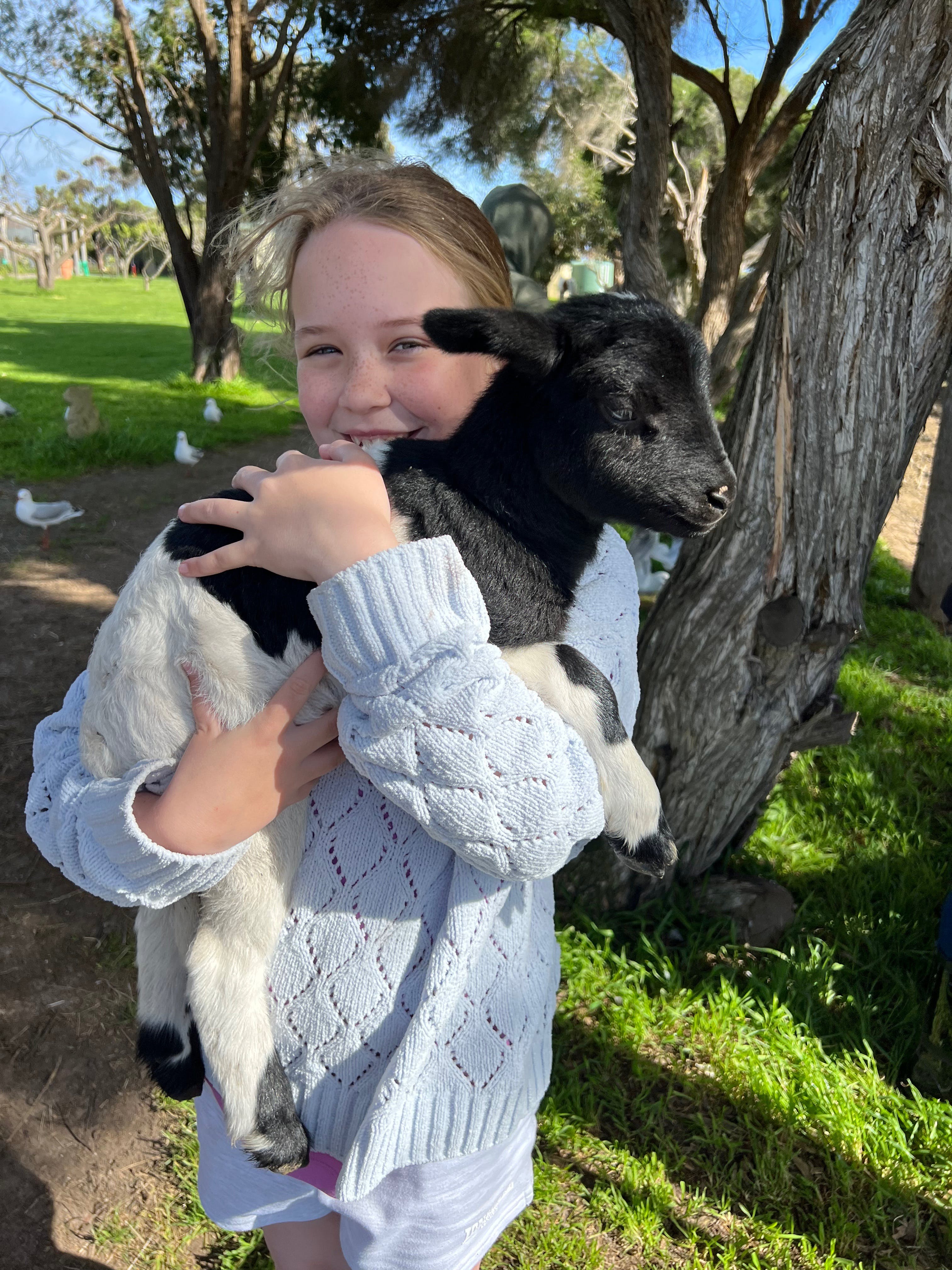 8E7B4459F05760E6Bf02E73810E806F3