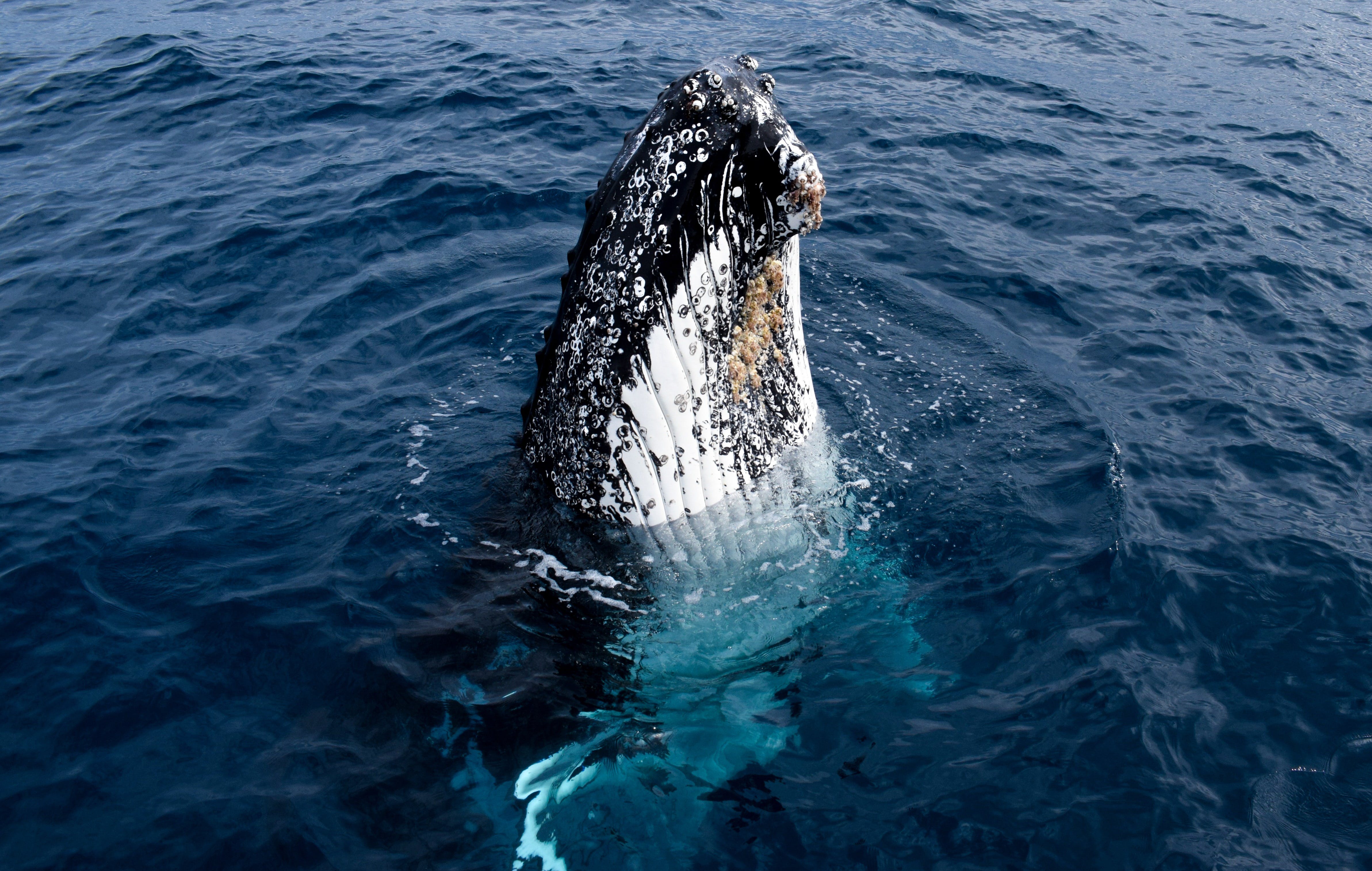 8F6E94705Fc75060Cd573A7C02606327