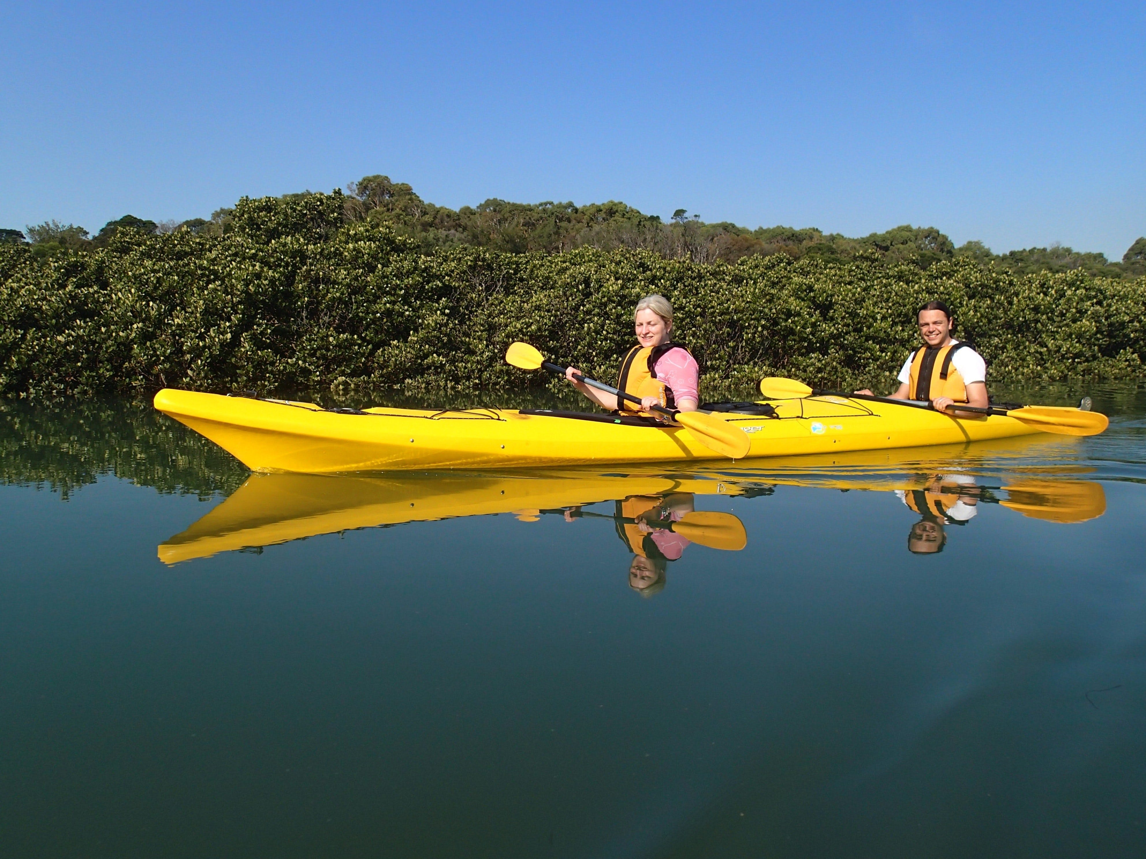 915D202B371E0B5D6E8Ddcc00B8980Ec