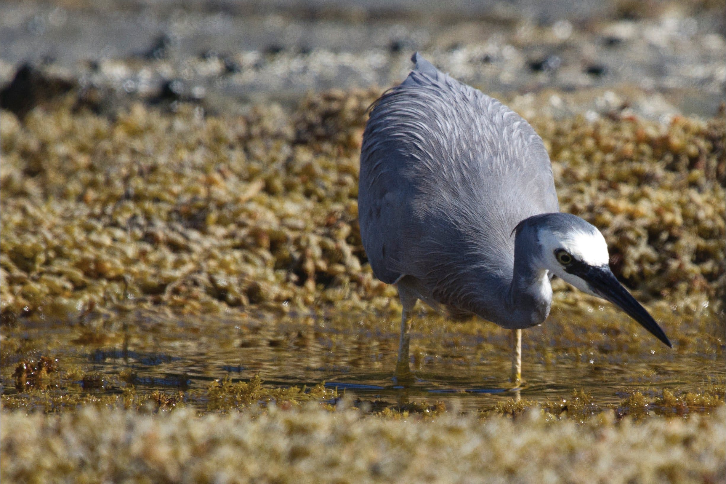 975B9813304Ad13B72D1Cf9E00604E2A