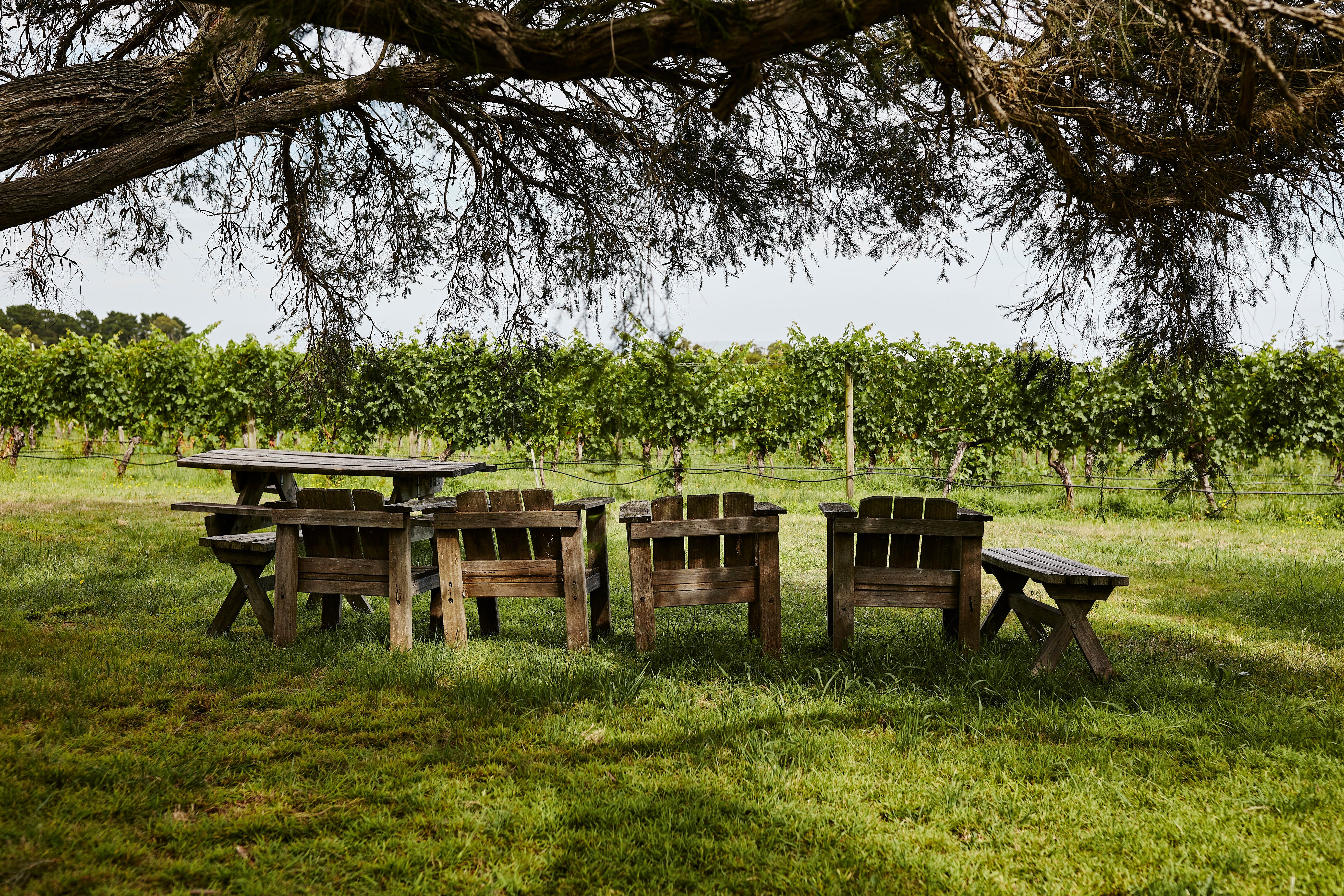 9A052Ae0752088C0F7061A2Fa3152556