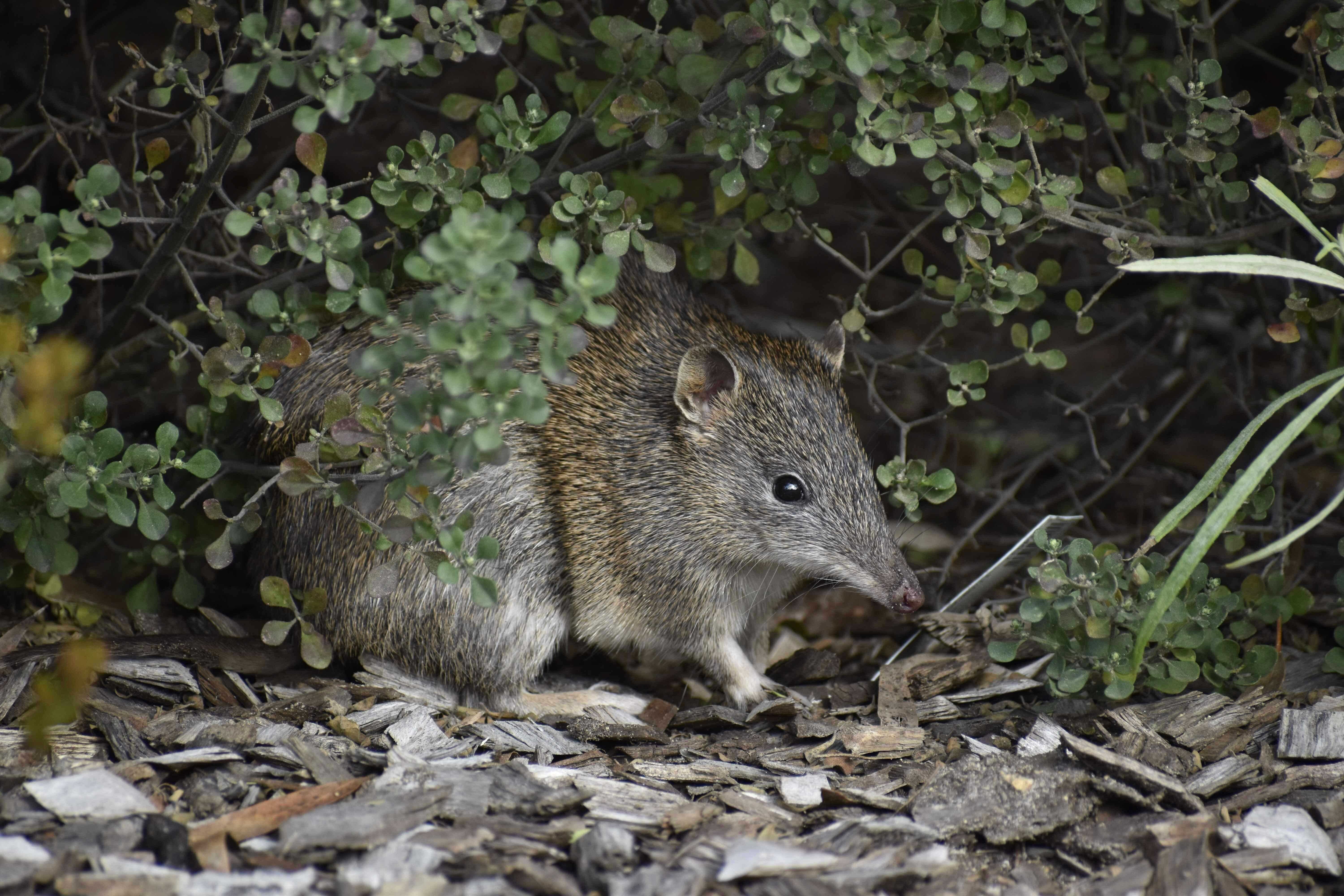 9B745F229C6A12E51E9E6Fb5Ad4512D8