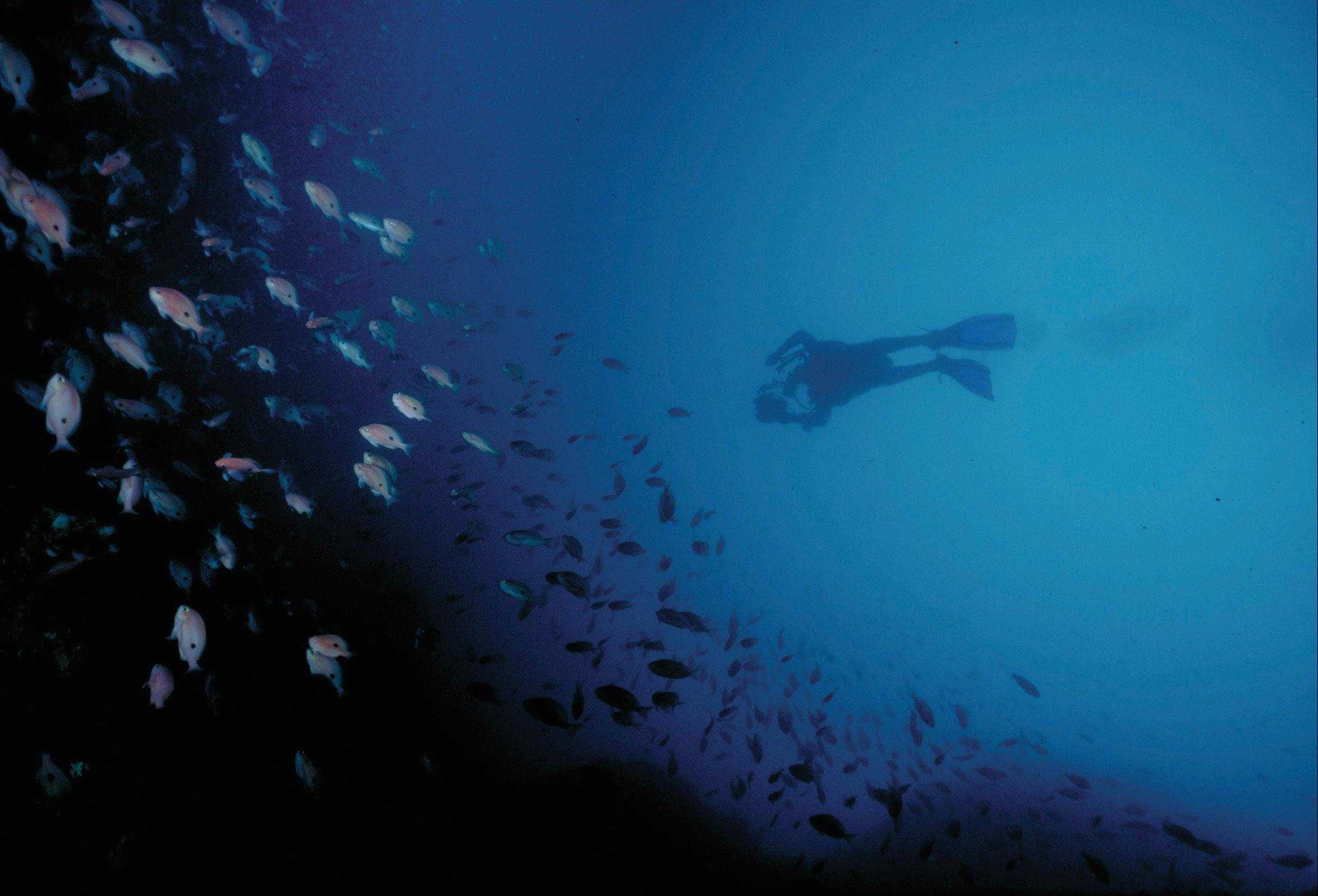 9C83821Bafa4A1C09E6C94Ca8D4451B2