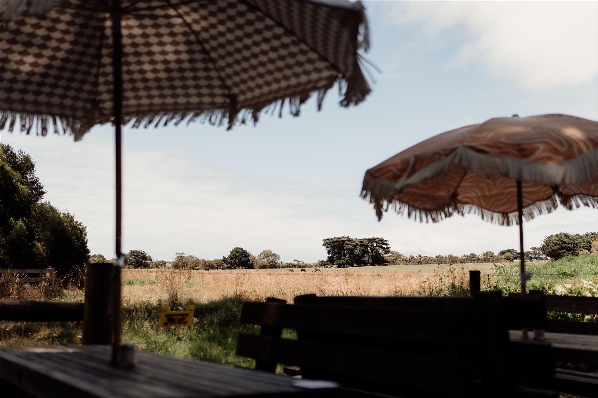 CLAIREDAVIE THESTORE 11 websize