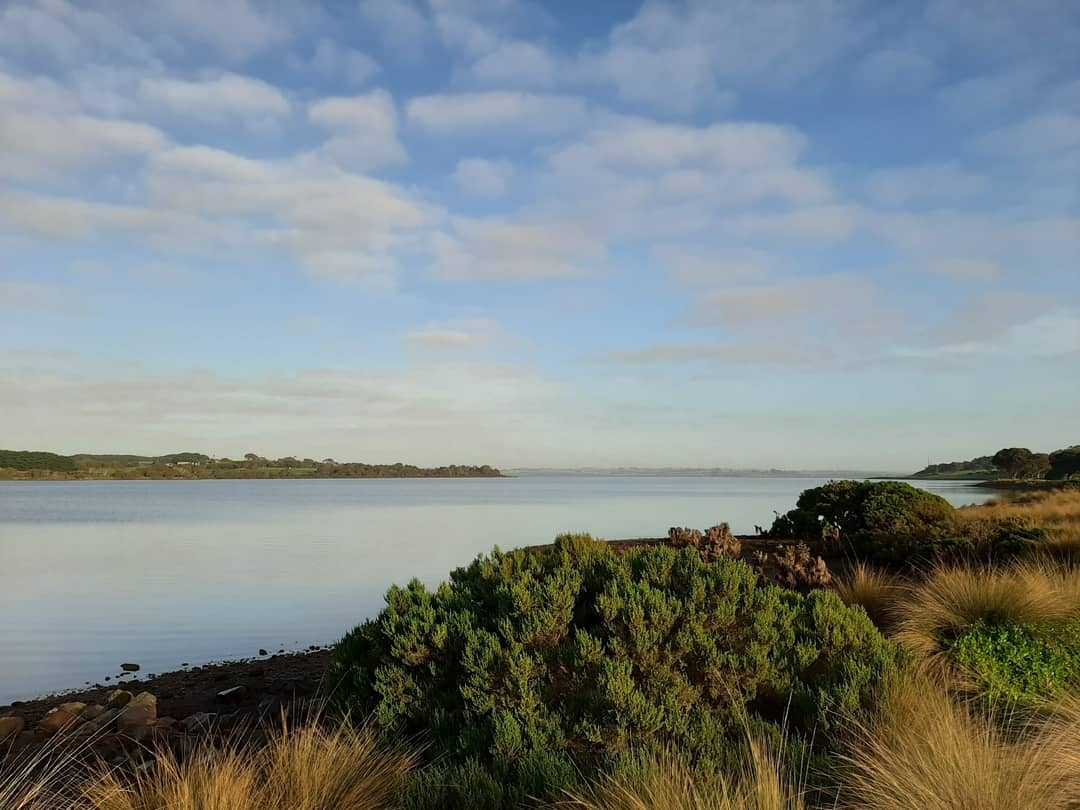 Churchill Island Walk 2