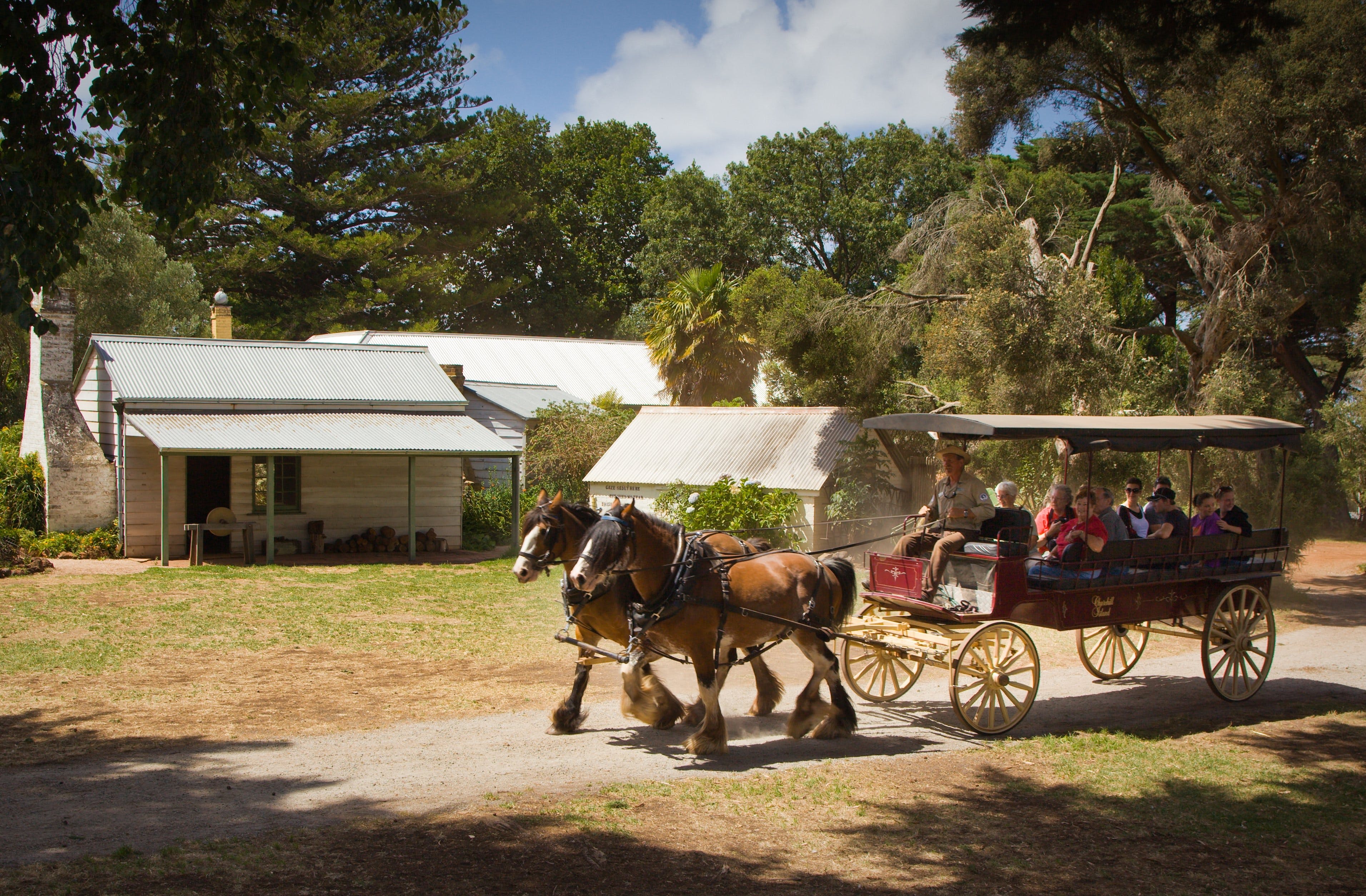 Churchill Island Horse and cart Phillip Island