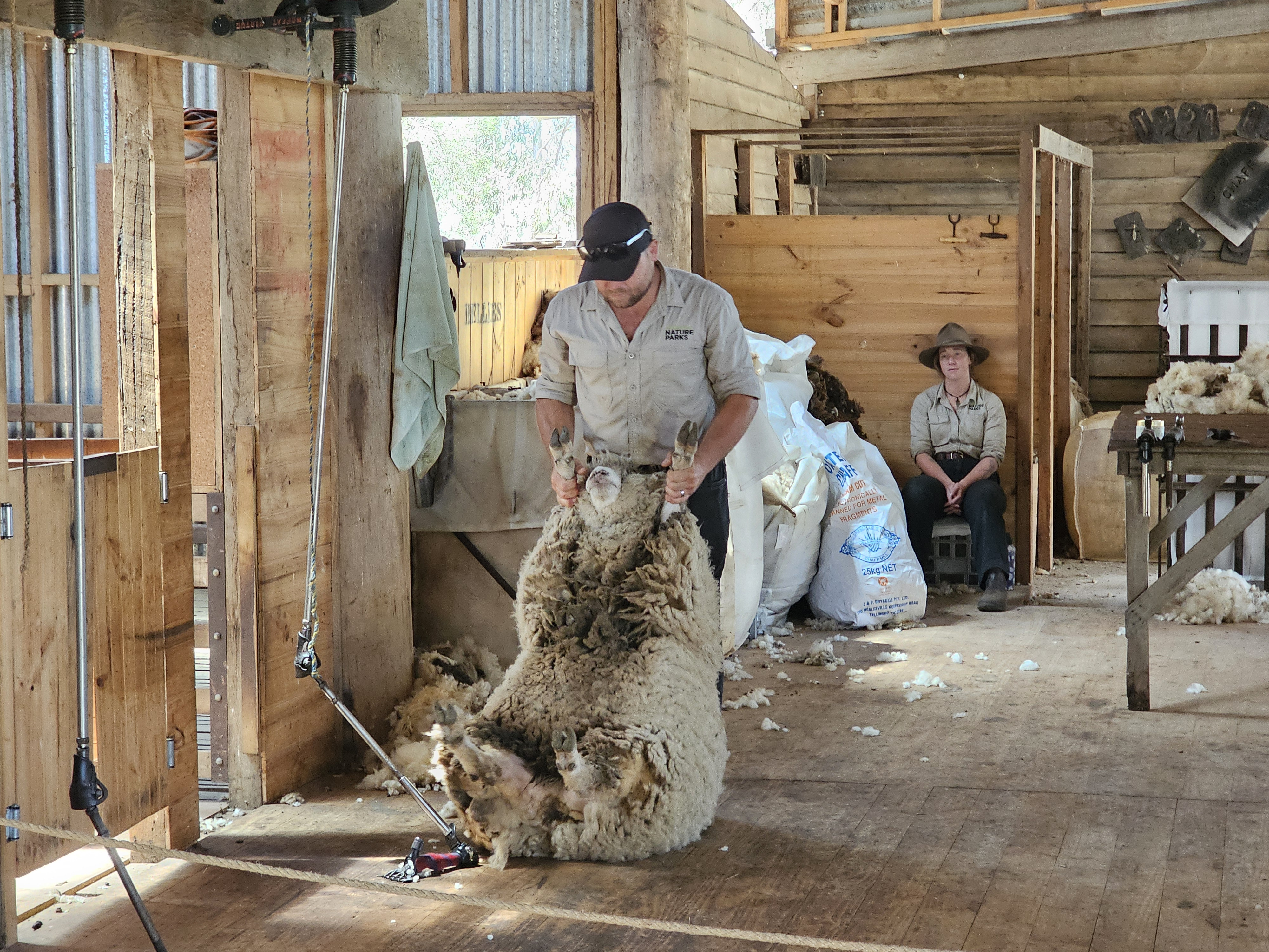 Churchill Shearing