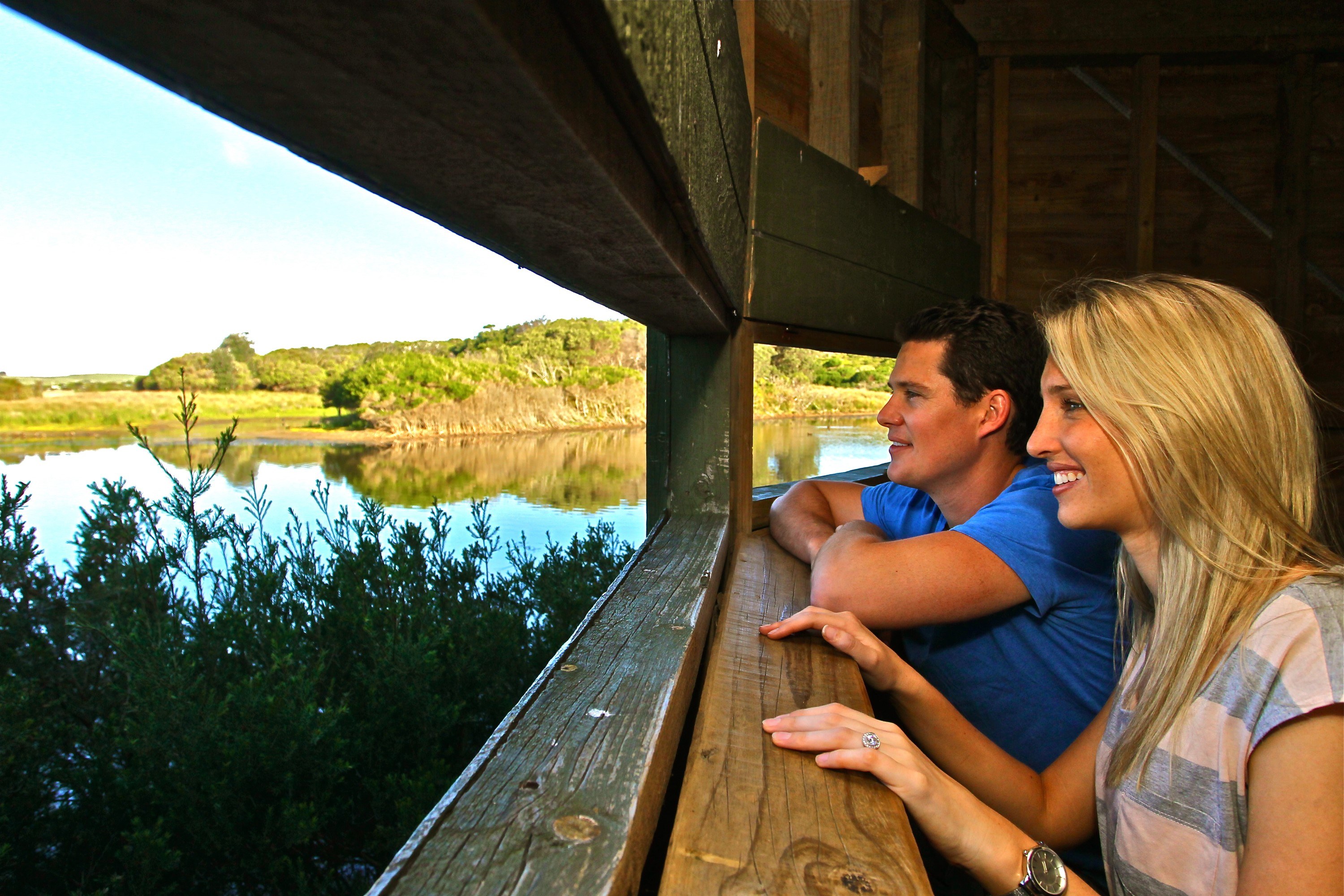 DPI Birdwatching 5 11 11 09