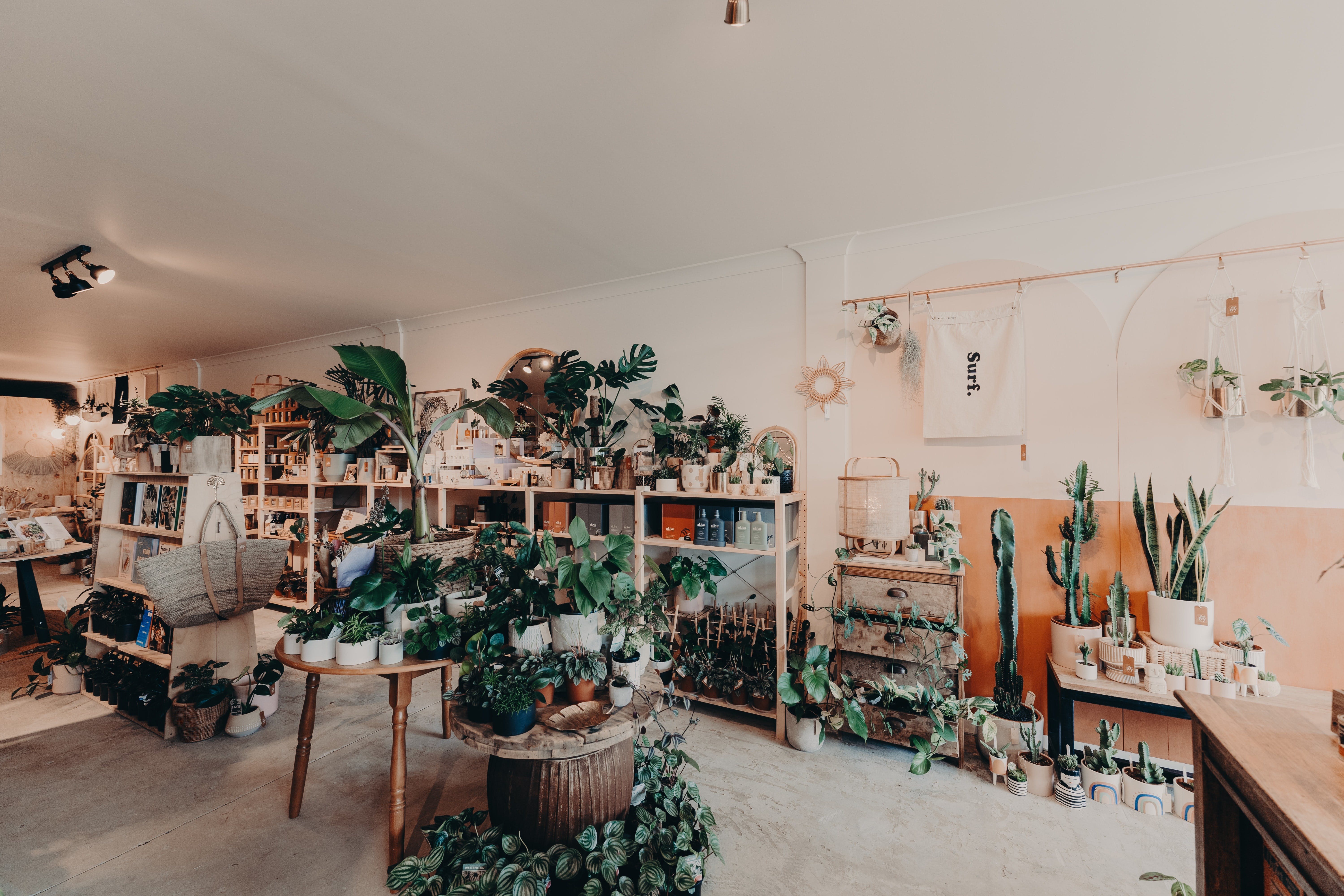 The Ivy Plant Studio Phillip Island